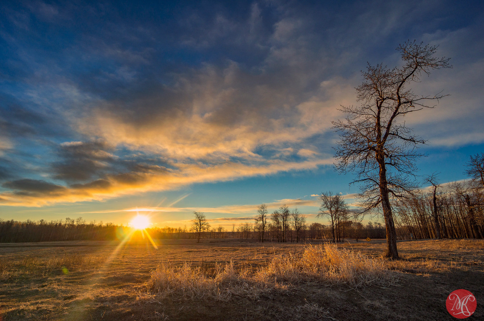 Sony Alpha NEX-6 + Sony E 10-18mm F4 OSS sample photo. Spring sunrise on bison loop 5 photography