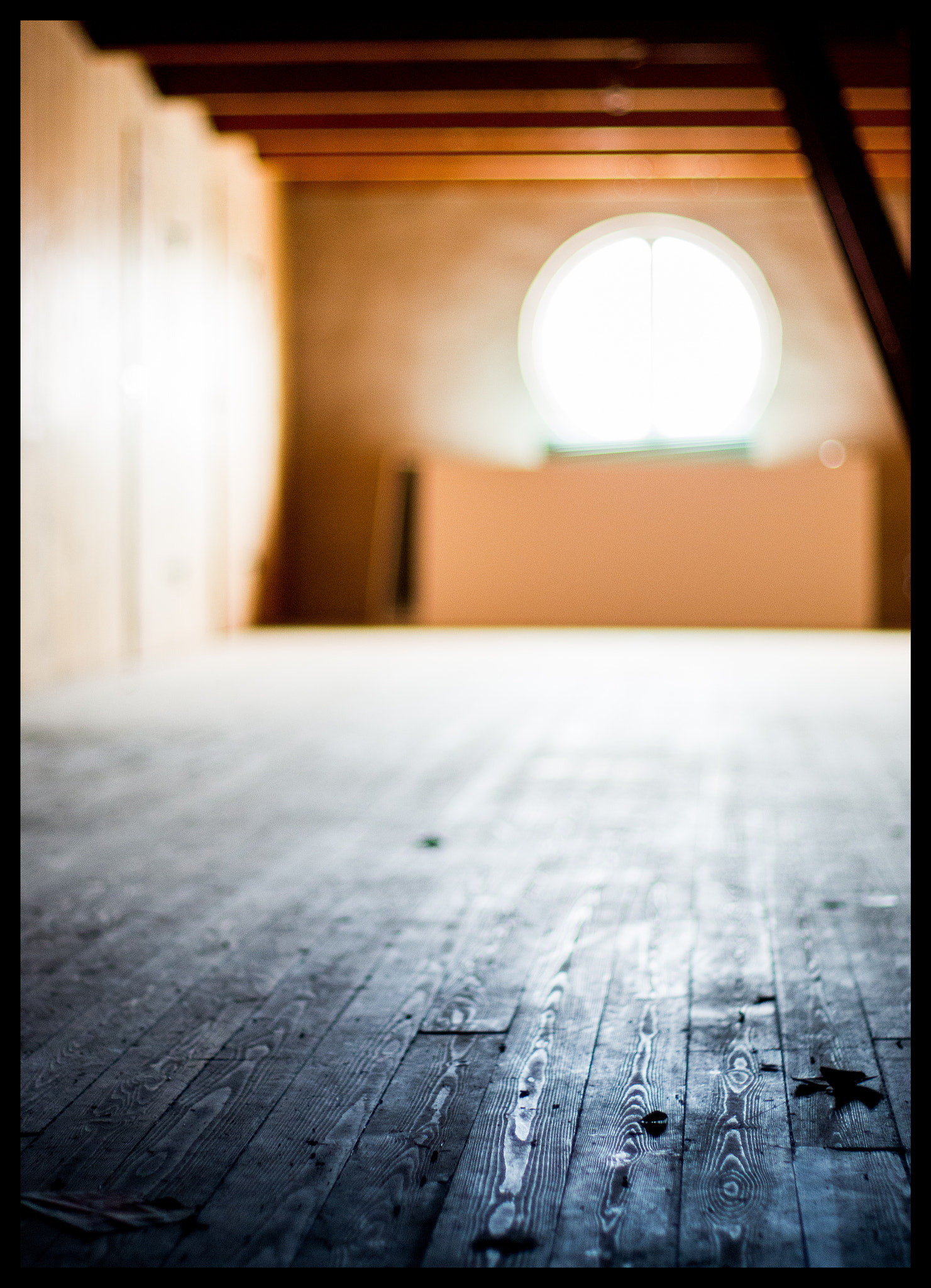Pentax K-5 II + Pentax smc FA 50mm F1.4 sample photo. Garret photography