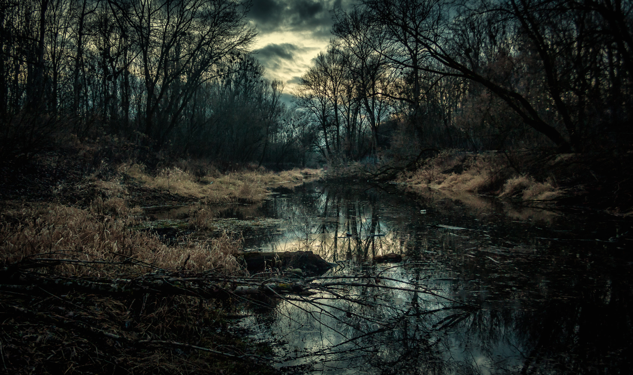 Canon EF-S 18-55mm F3.5-5.6 sample photo. Kępa bazarowa photography