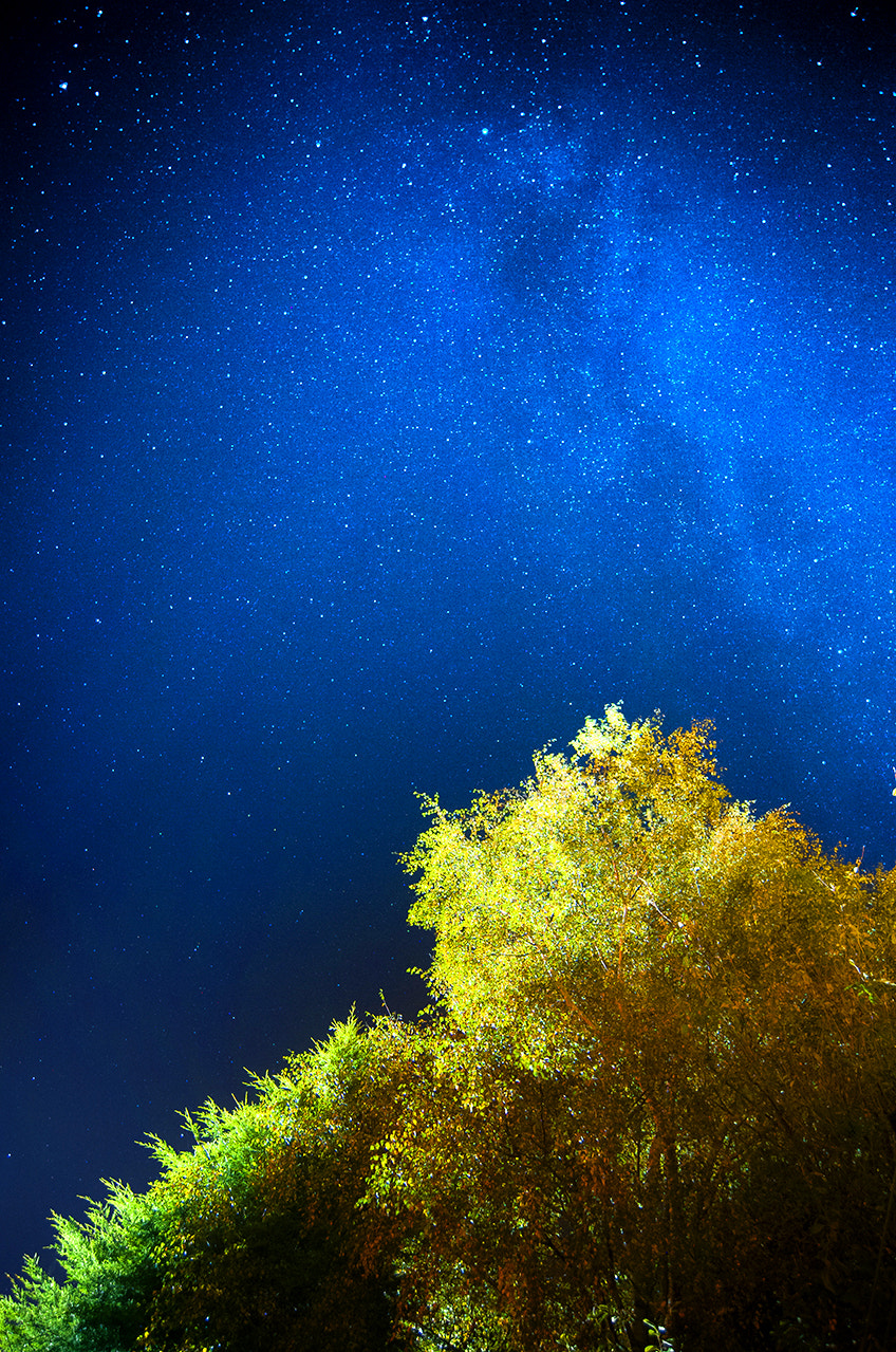 Nikon D3 sample photo. Stars photography