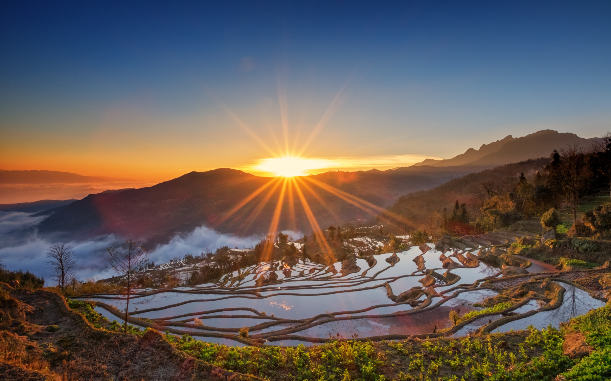 Fujifilm X-E2 + ZEISS Touit 12mm F2.8 sample photo. Yuanyang rice terraces (unesco world heritage) photography