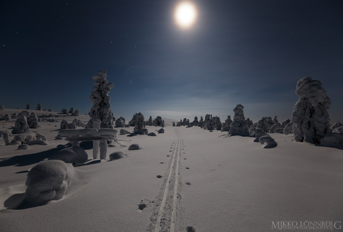 Canon EOS 5DS R + Canon EF 300mm f/2.8L sample photo. Moonlight skiing photography