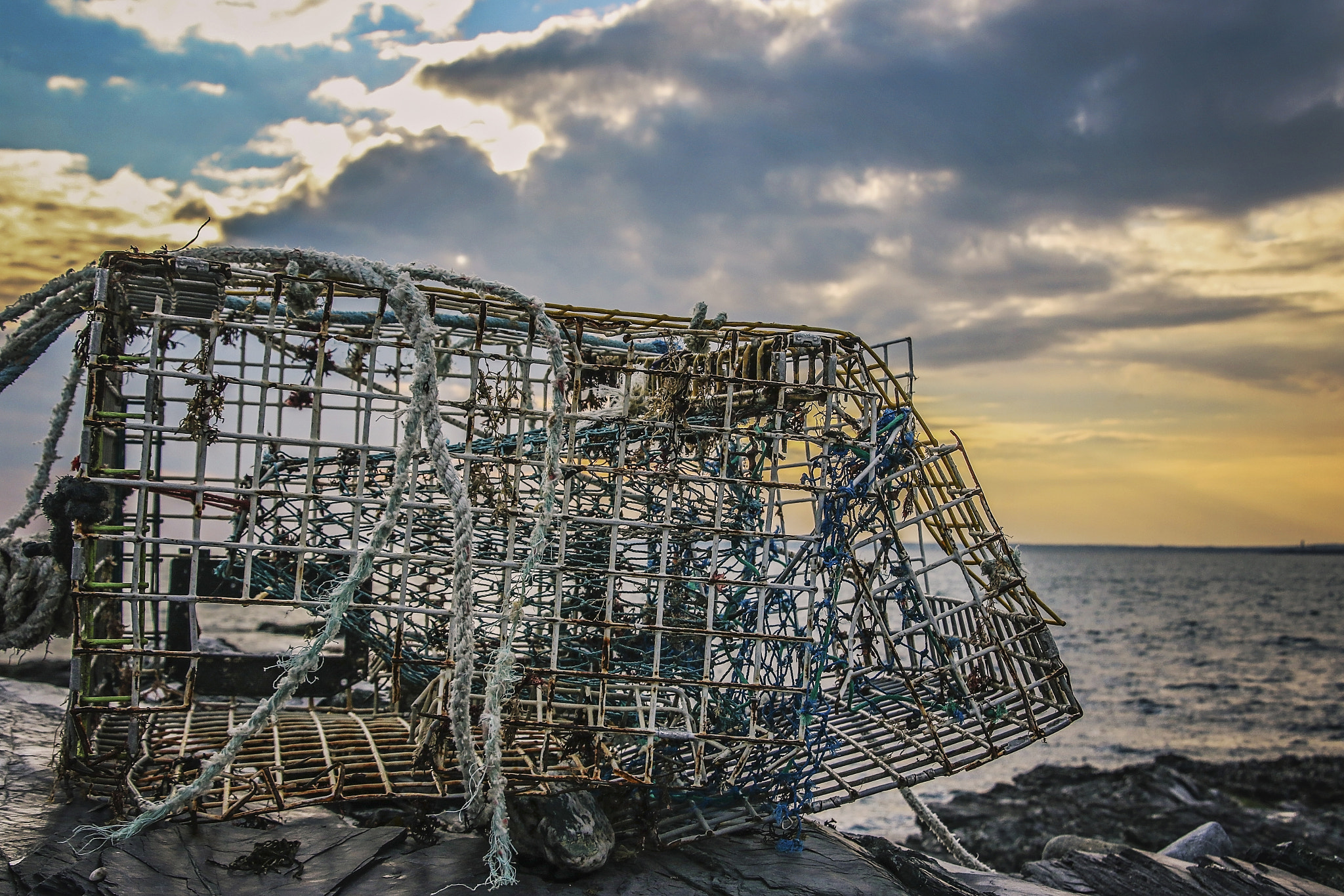 Canon EOS 7D Mark II + Tamron 18-270mm F3.5-6.3 Di II VC PZD sample photo. Lobster trap washed ashore photography