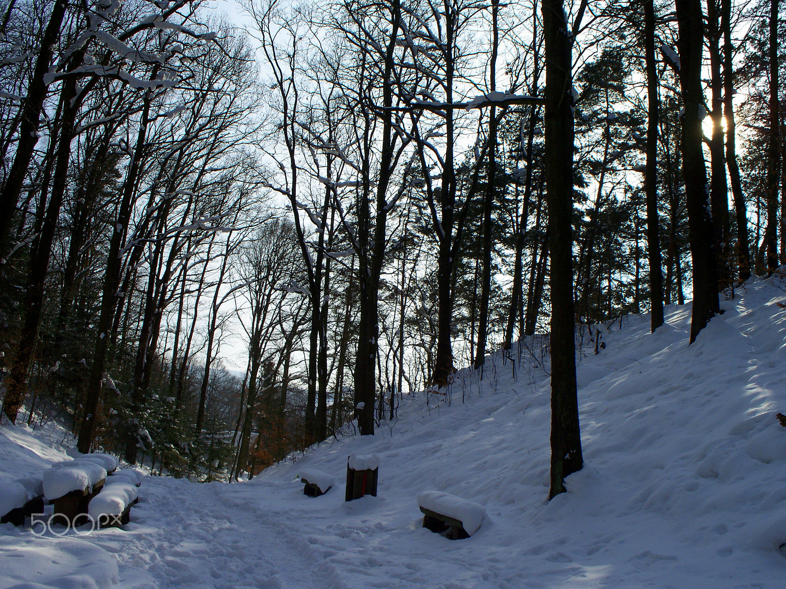 Kodak Z1275 ZOOM DIGITAL CAMERA sample photo. Winter forest photography