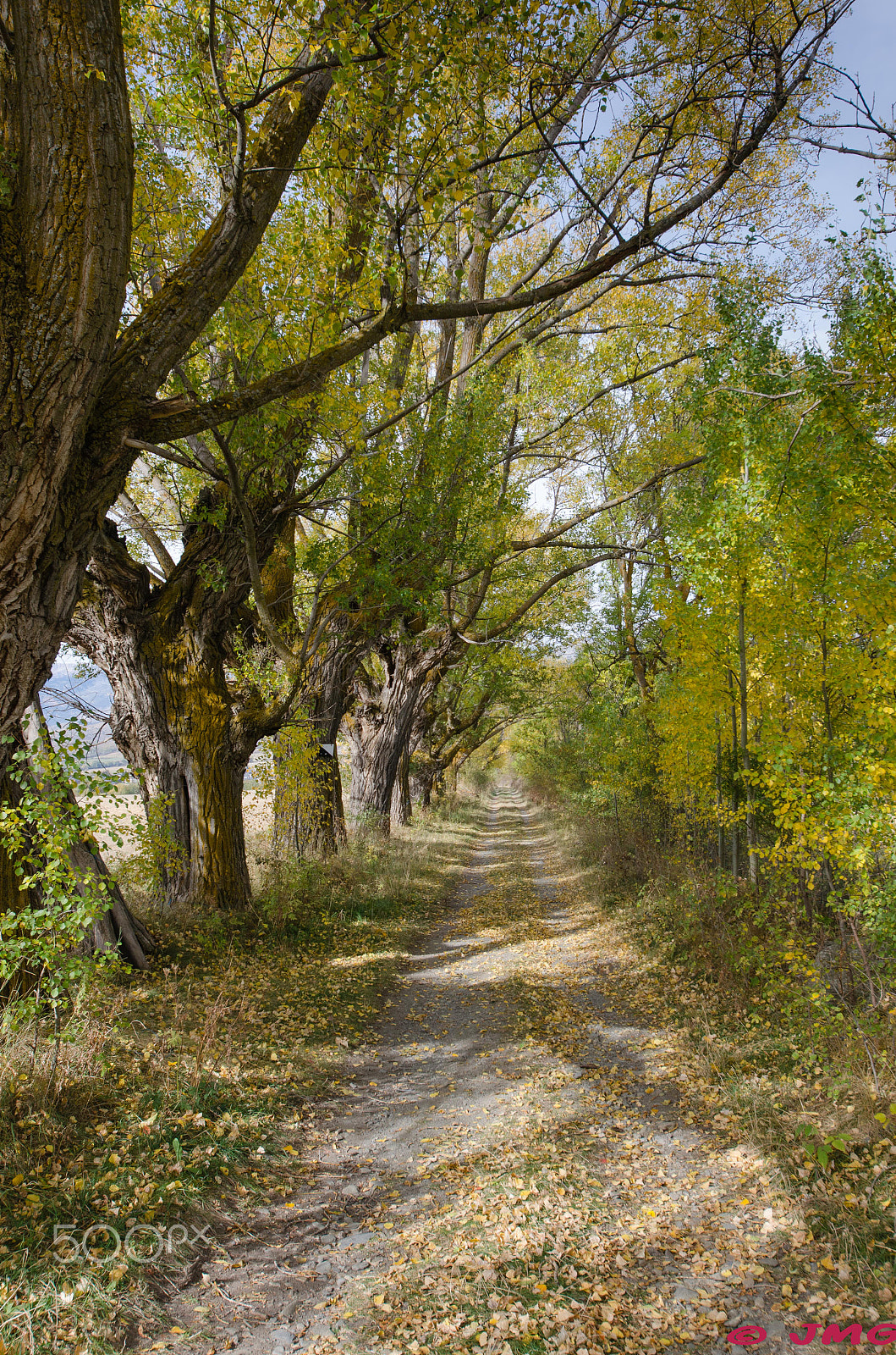 Sigma 12-24mm F4.5-5.6 II DG HSM sample photo. Cami de llivia photography