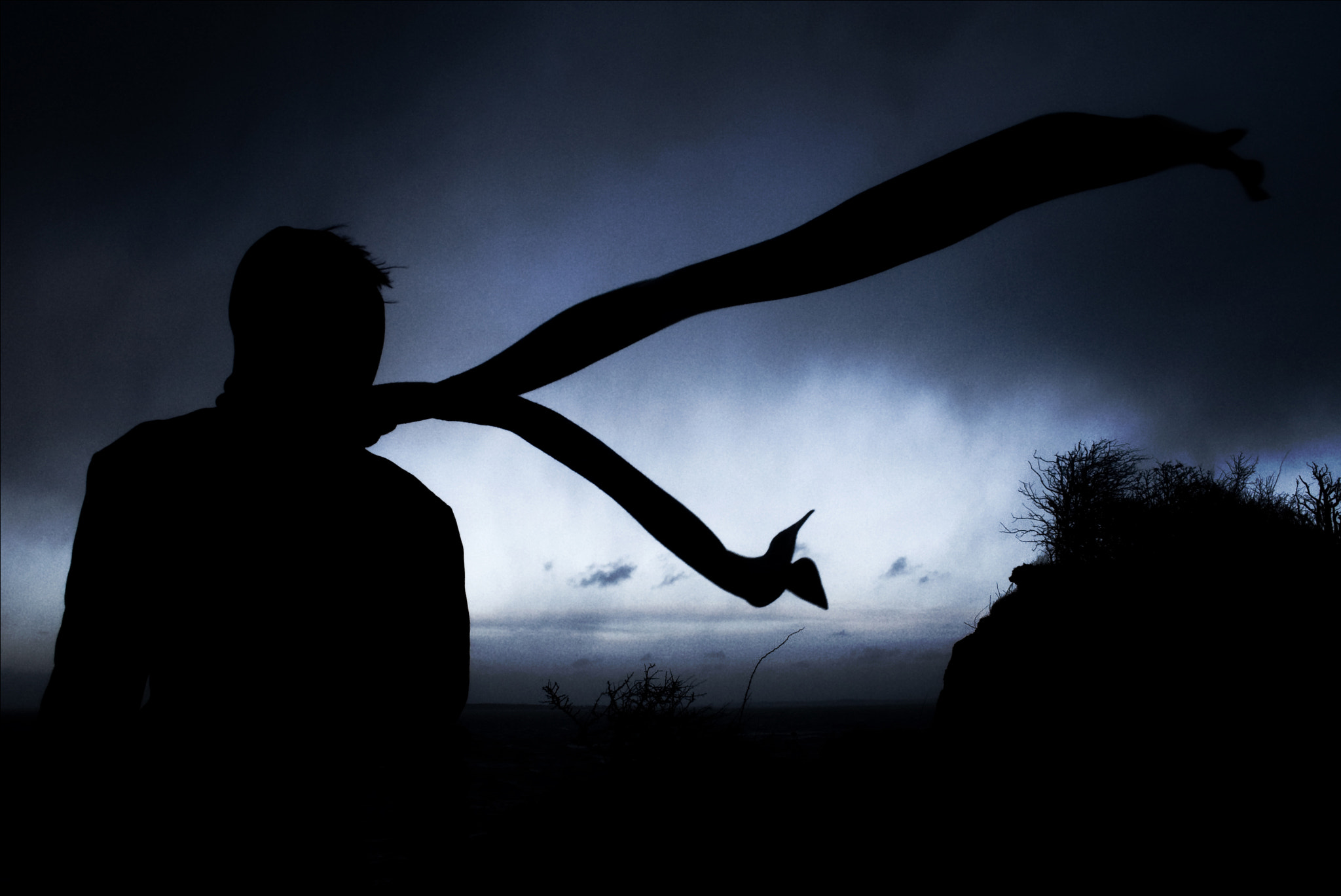Canon EF-S 18-55mm F3.5-5.6 sample photo. Storm silhouette photography