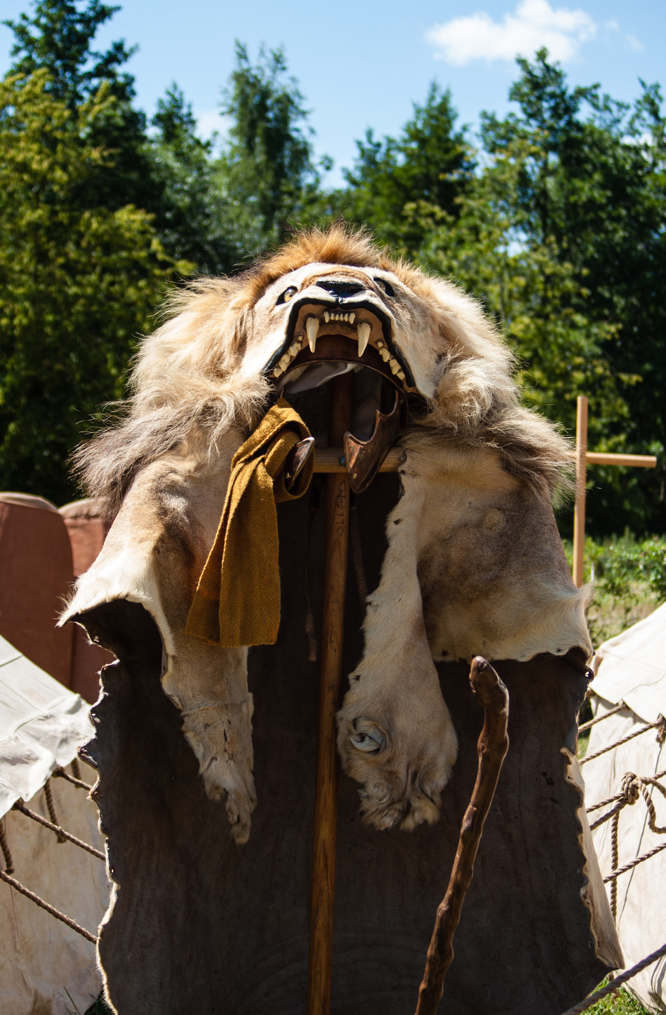 Canon EF 35-135mm f/4-5.6 USM sample photo. Lions helmet photography
