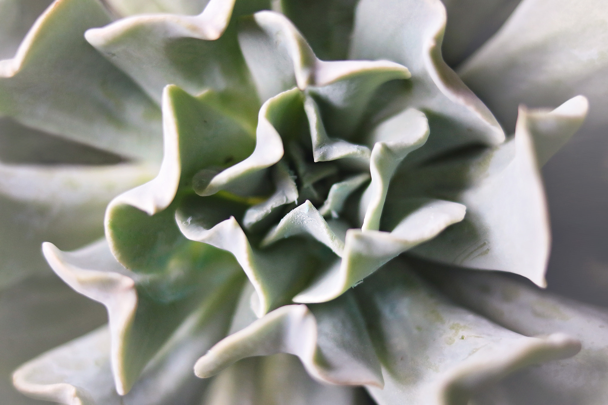Canon EF 35mm F2 IS USM sample photo. Green photography