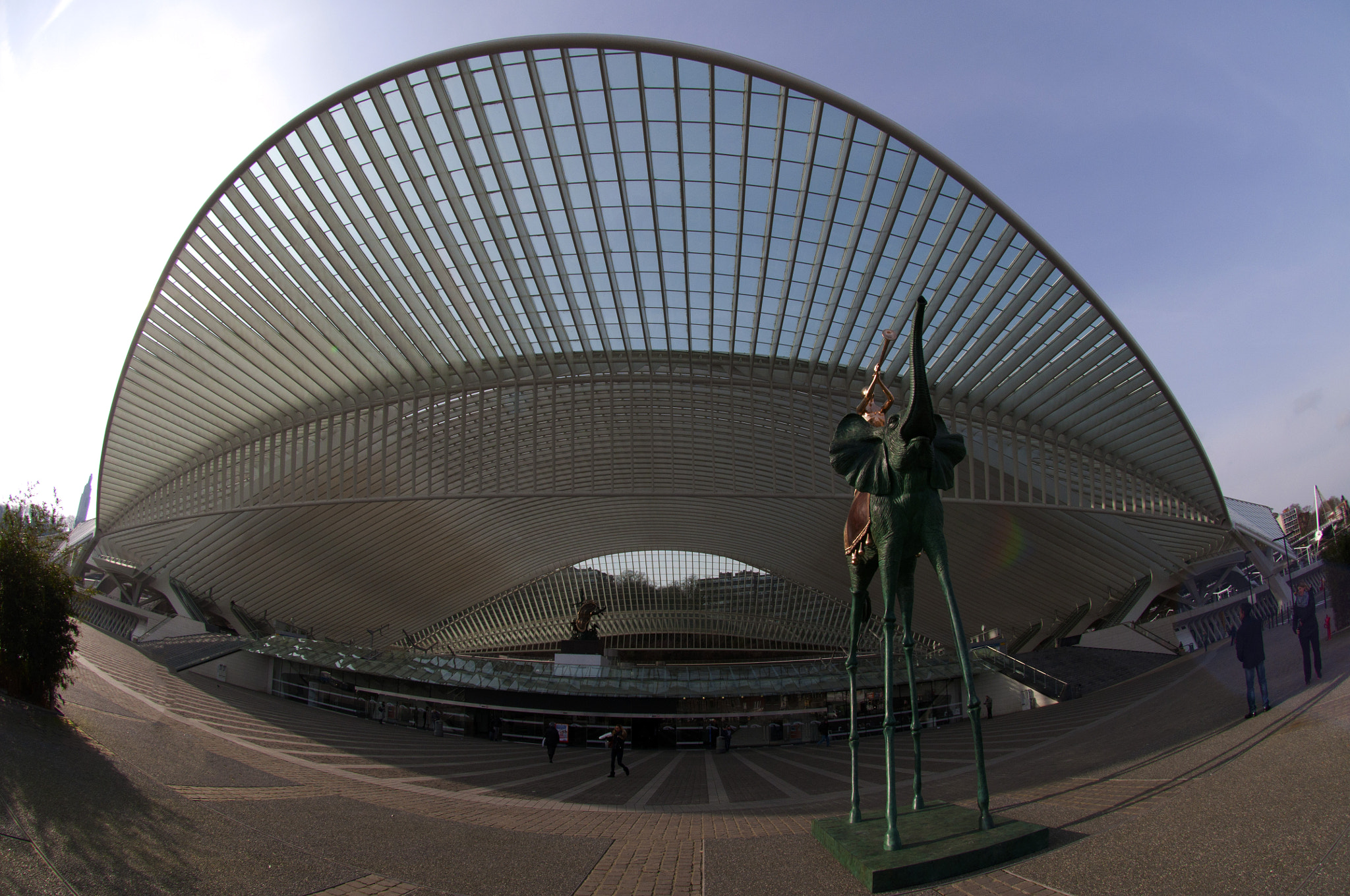 Nikon AF DX Fisheye-Nikkor 10.5mm F2.8G ED sample photo. Dali-guillemin-expo photography