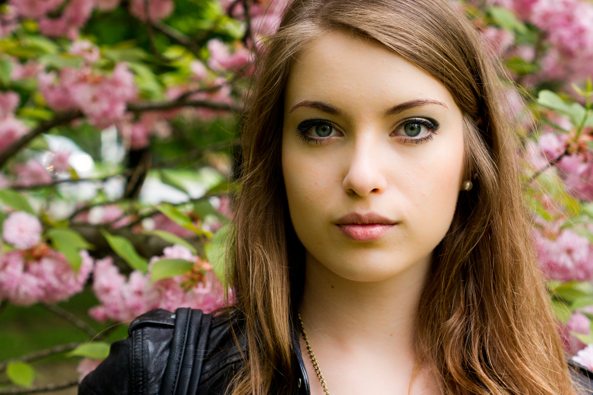 Sony Alpha DSLR-A550 + Sony DT 50mm F1.8 SAM sample photo. Franka photography