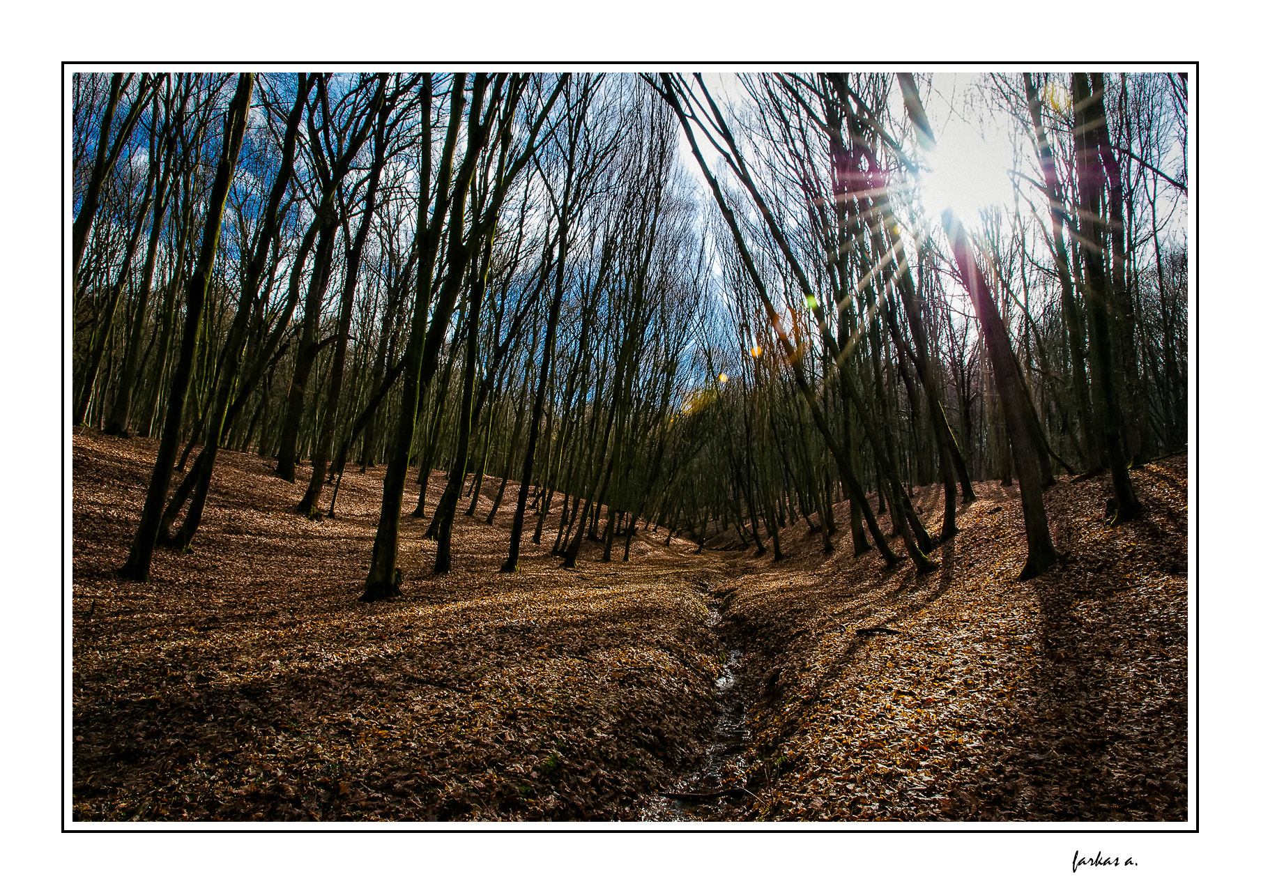 Nikon D60 sample photo. Early spring in the catedral... photography