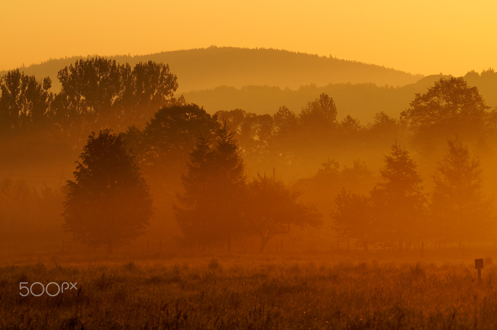 Sony SLT-A58 sample photo. Fog photography