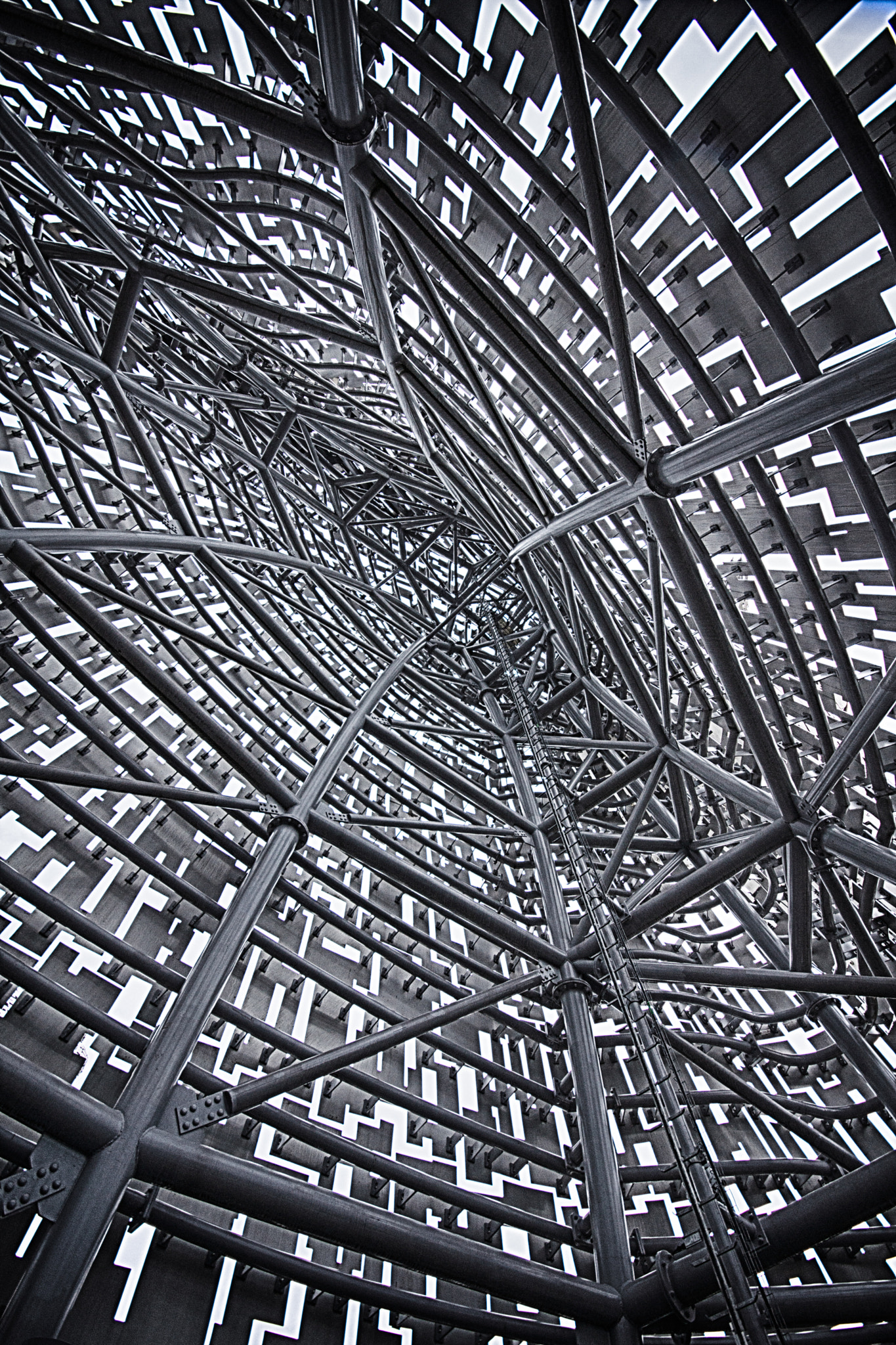 Sigma AF 10-20mm F4-5.6 EX DC sample photo. Under the skin photography