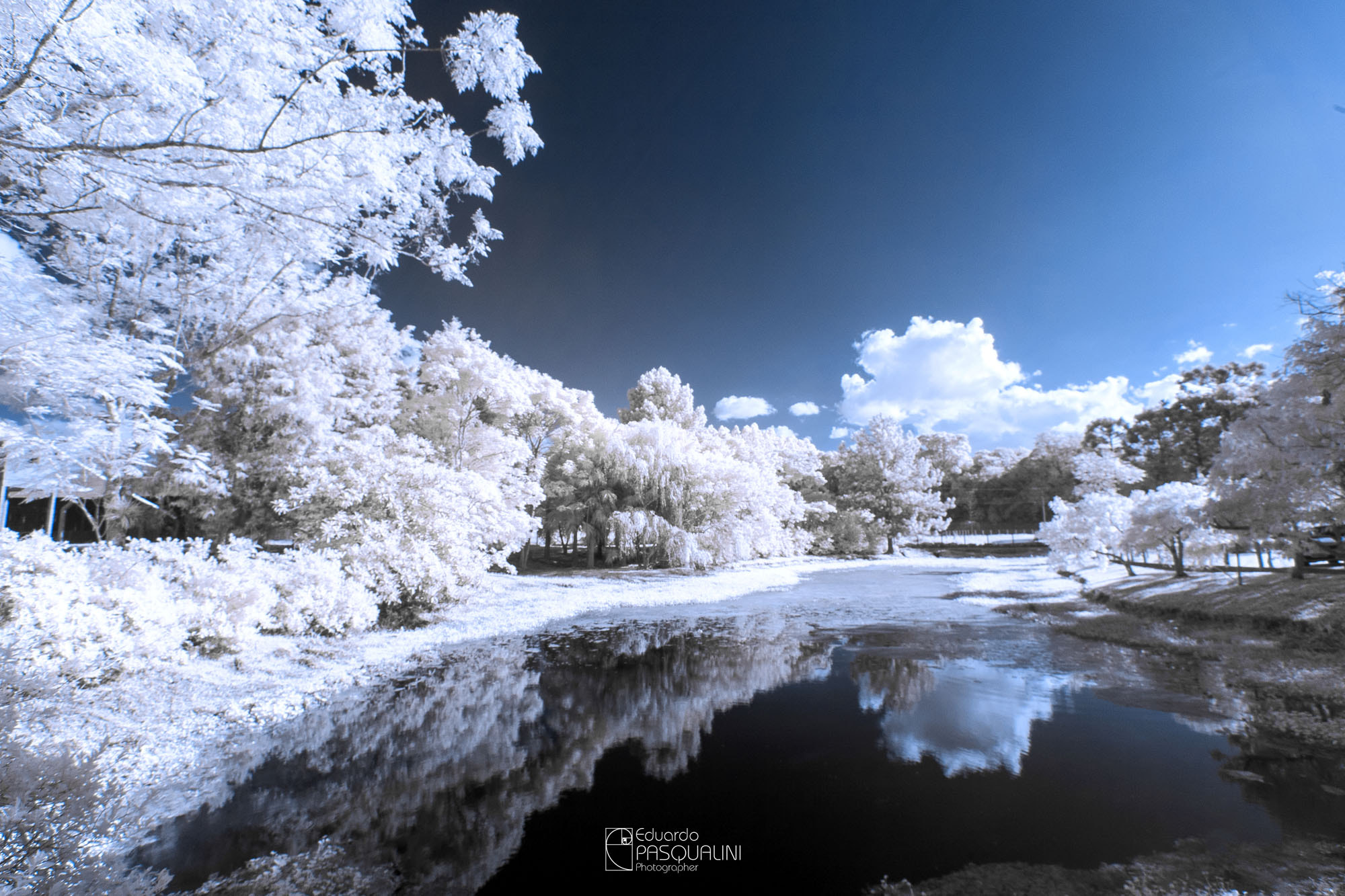 Canon EOS 30D + Sigma 10-20mm F3.5 EX DC HSM sample photo. Infrared reflection photography