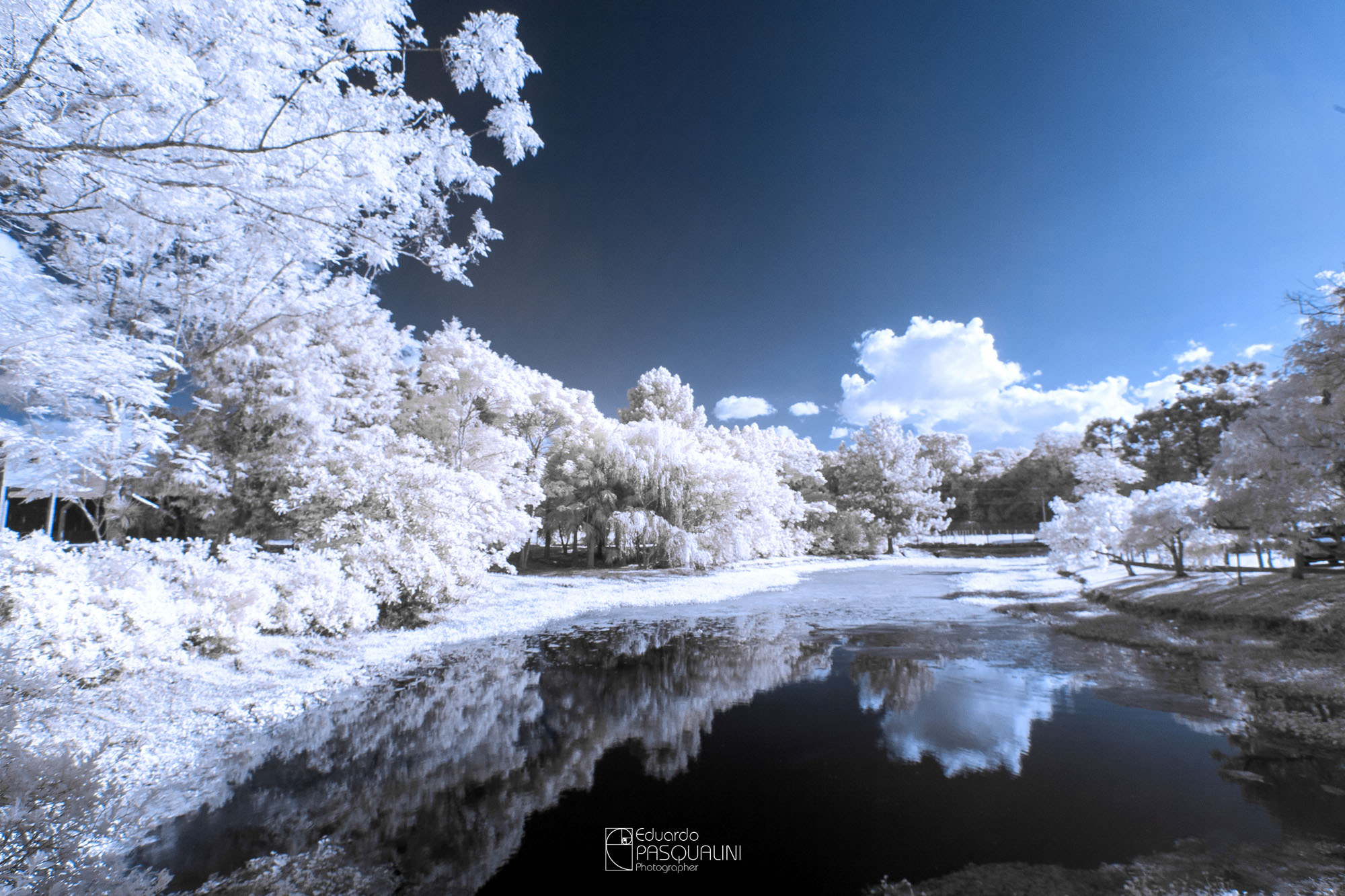 Canon EOS 30D sample photo. Infrared reflection photography