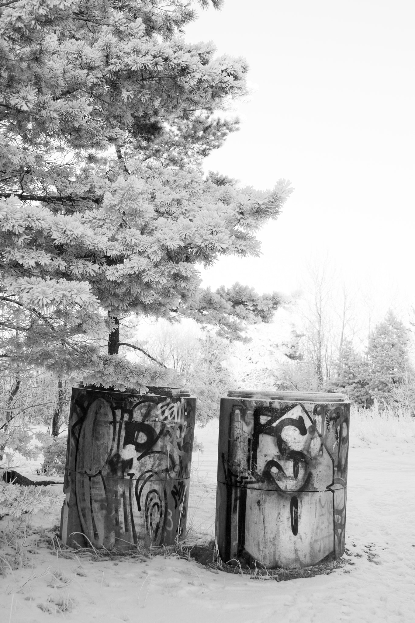 Canon EF 28-135mm F3.5-5.6 IS USM sample photo. Suburban landscape #4 photography