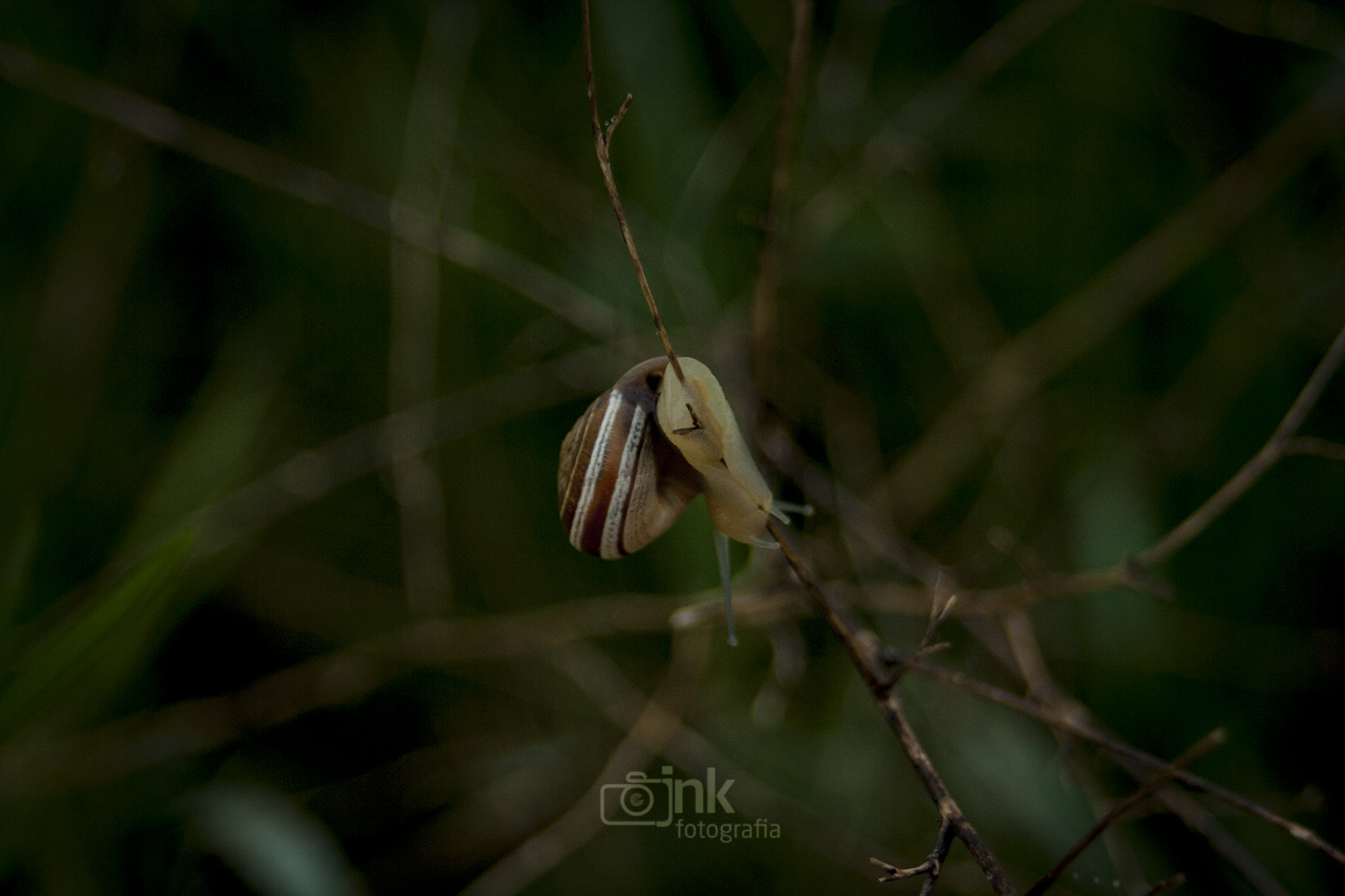 Canon EF 35-80mm f/4-5.6 sample photo. One way photography