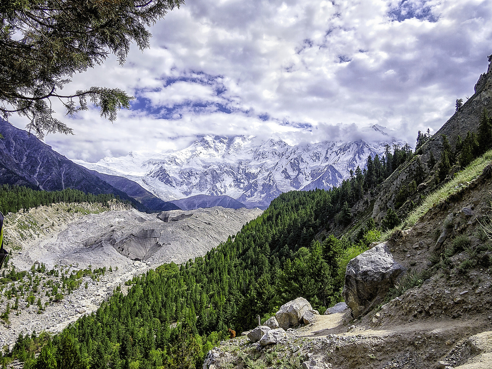 Olympus M.Zuiko Digital 14-42mm F3.5-5.6 II sample photo. Nanga parbat photography