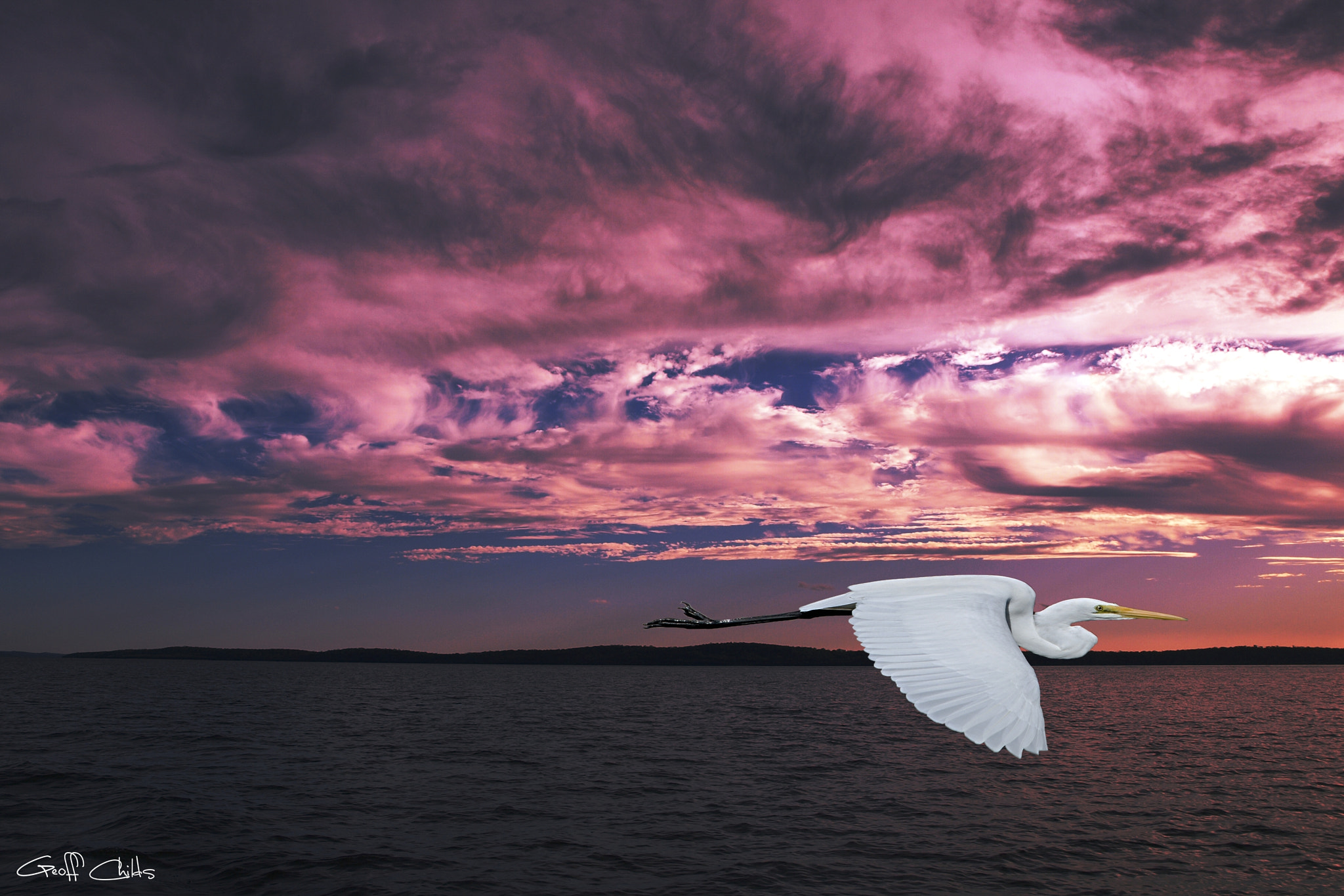 Olympus E-450 (EVOLT E-450) + OLYMPUS 14-42mm Lens sample photo. Flying egret in sea sunset  original exclusive photo art. photography