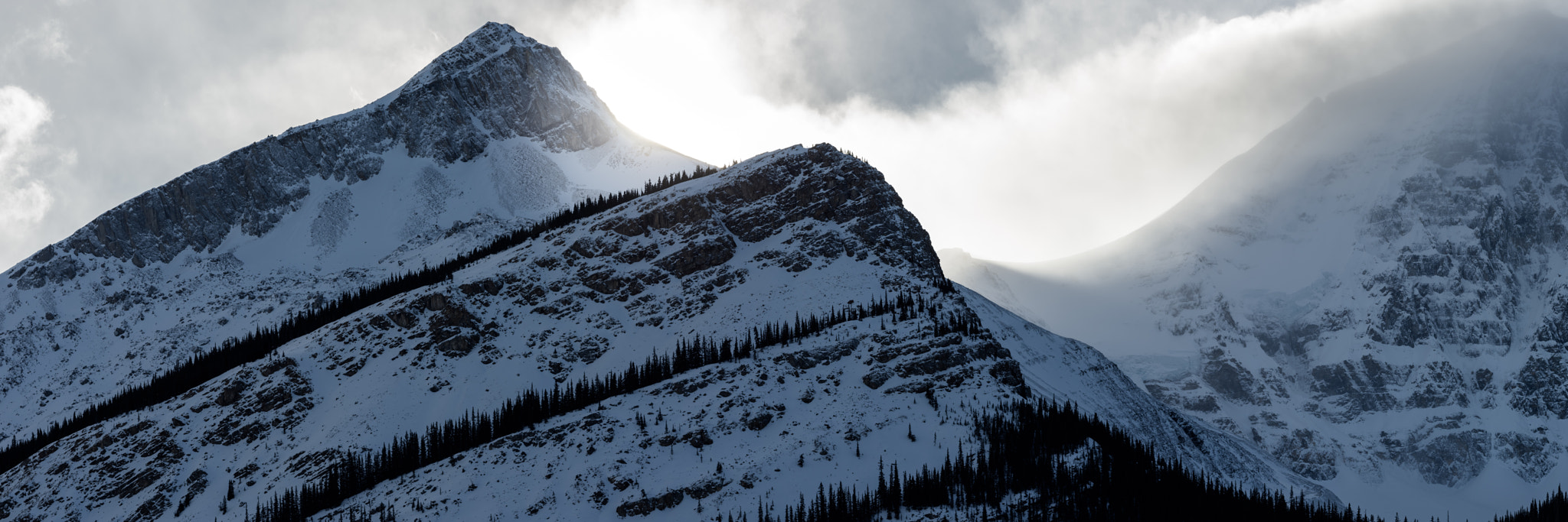 ZEISS Apo Sonnar T* 135mm F2 sample photo. Mount k2 and mount kitchener photography
