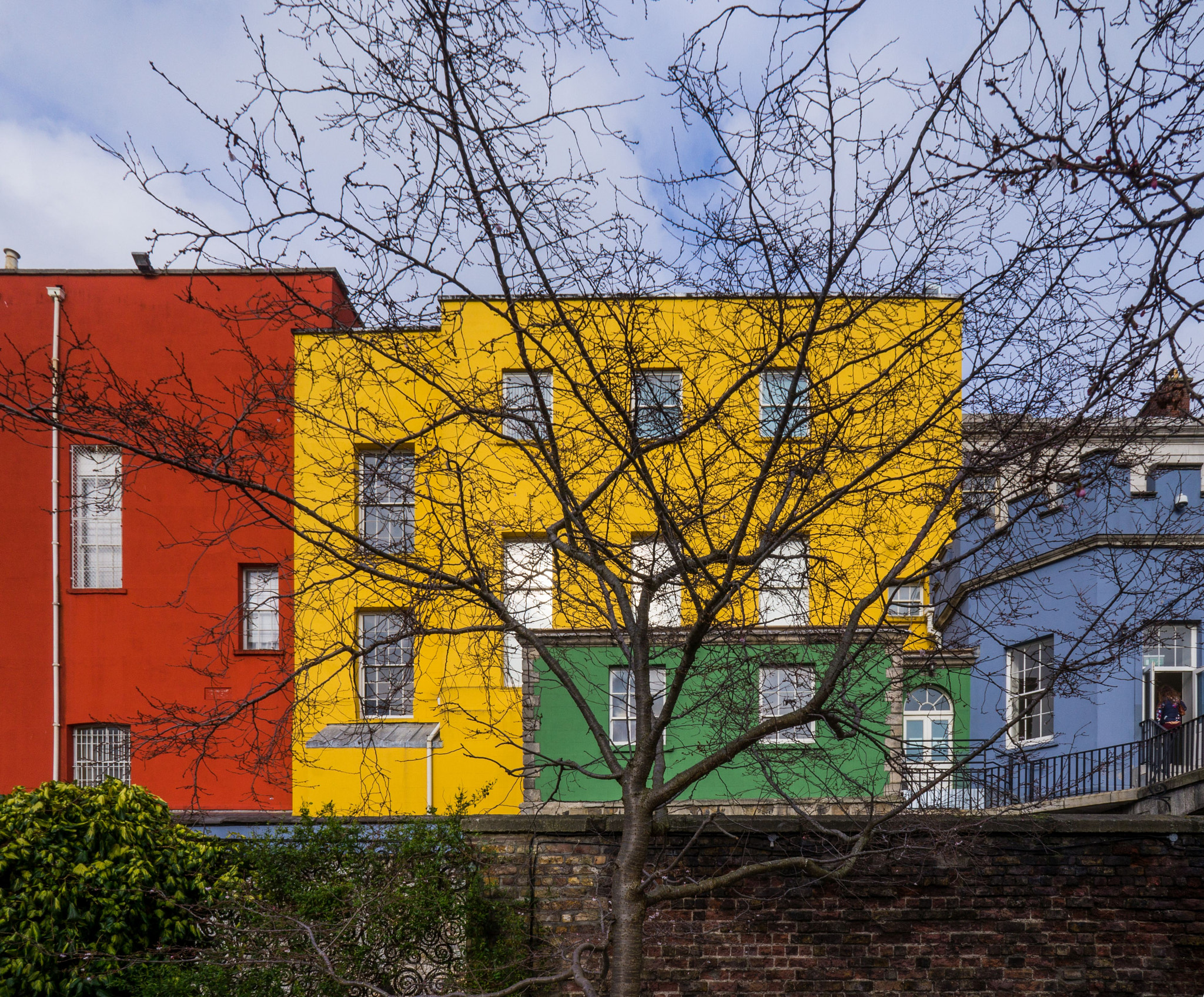 Sony Alpha NEX-F3 + Sony E 16mm F2.8 sample photo. A tree on a colorful canvas photography