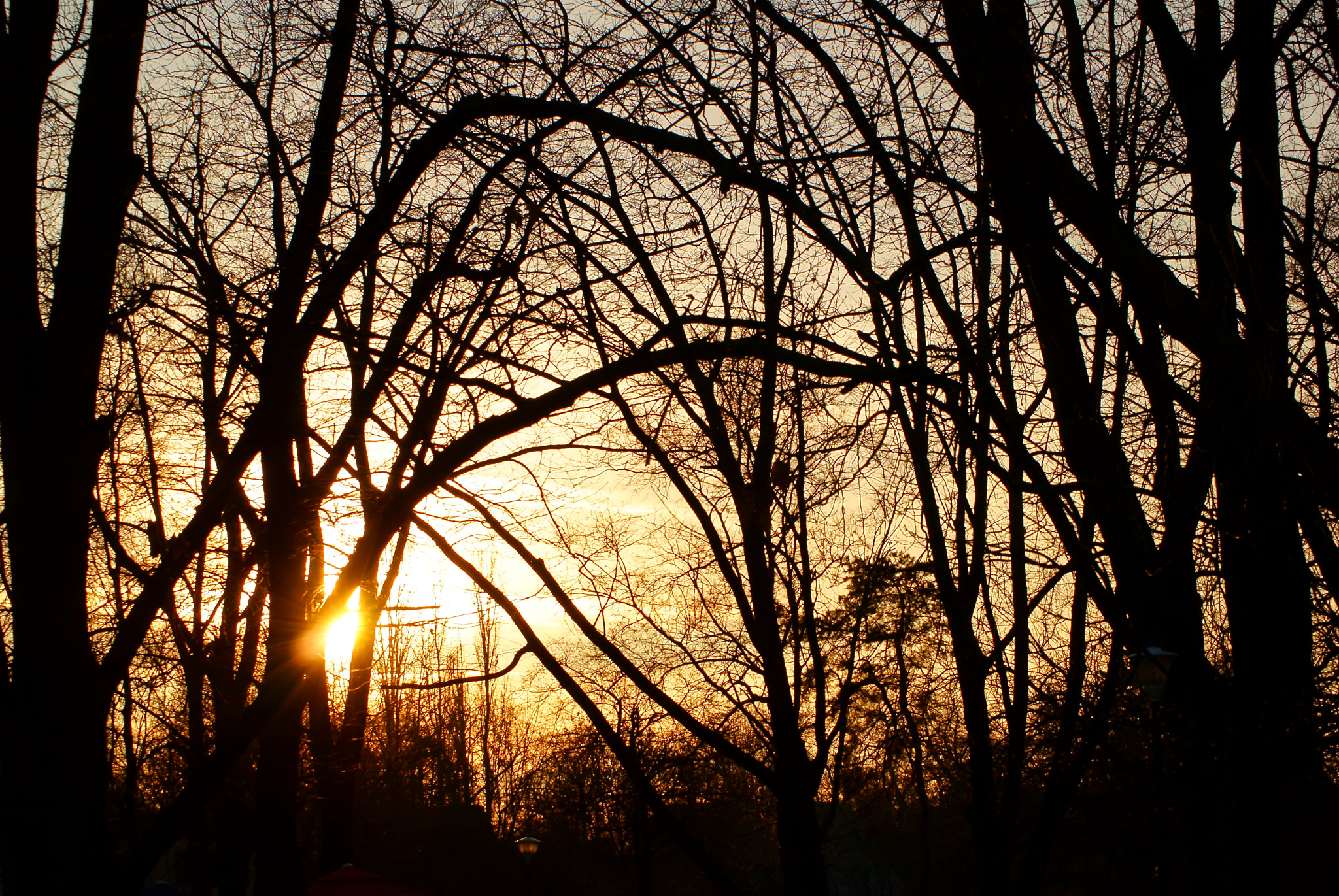 Sony DT 55-200mm F4-5.6 SAM sample photo. Sunrise....afternoon...sunset.....who cares.. :)))) photography