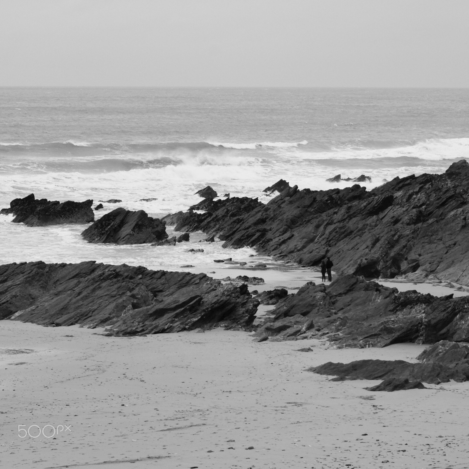 Sony 75-300mm F4.5-5.6 sample photo. Walk into nature photography