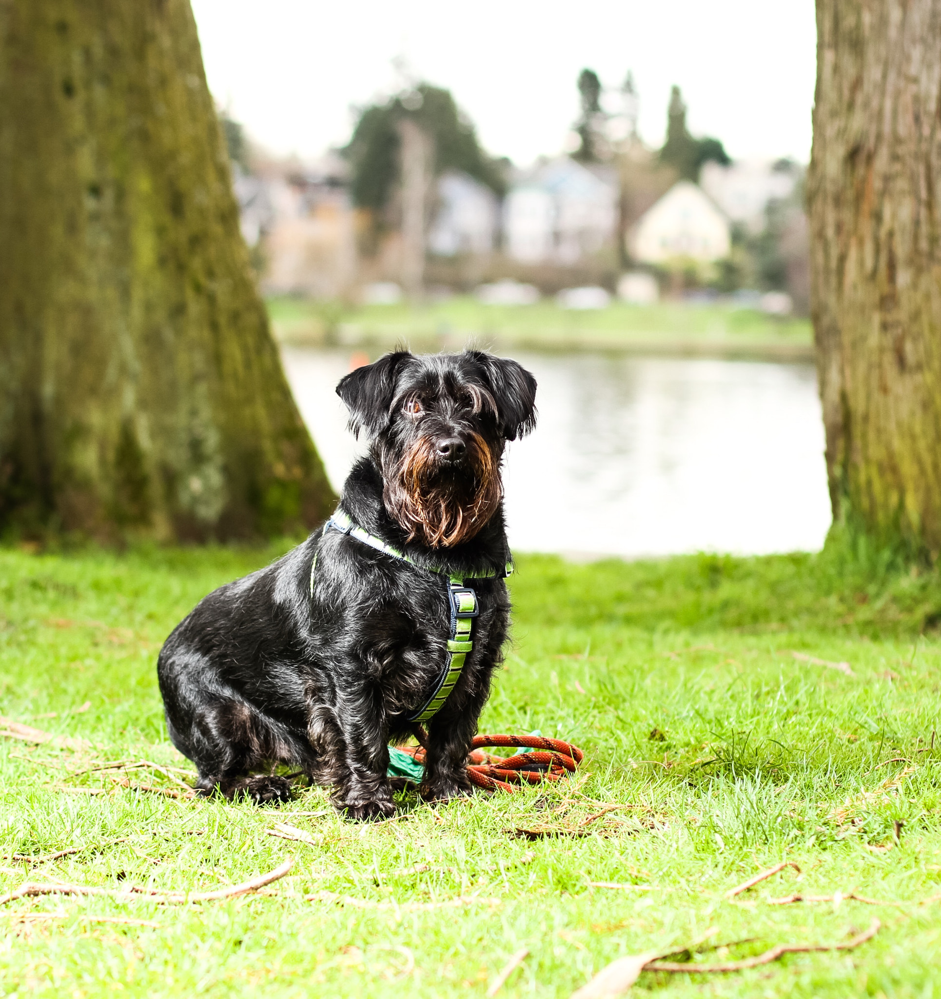 Canon EOS 7D + Canon EF 50mm F1.4 USM sample photo. Greenlake in seattle wa photography