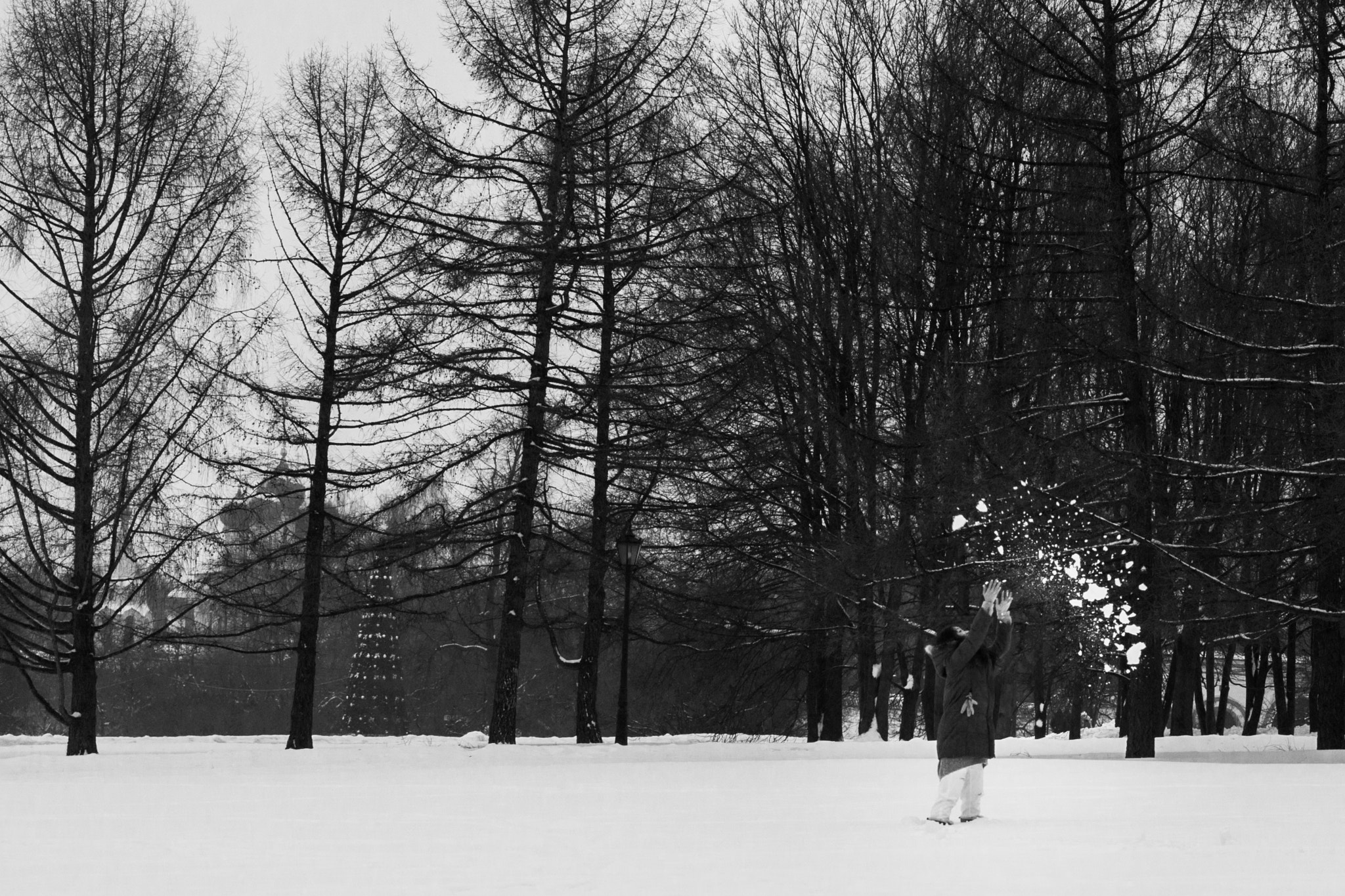Sony 50mm F1.4 sample photo. Snowy fun photography