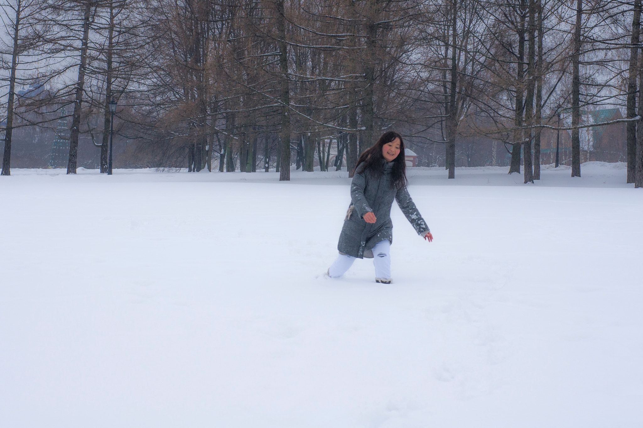 Sony Alpha DSLR-A500 + Sony 50mm F1.4 sample photo. In the snow alone photography