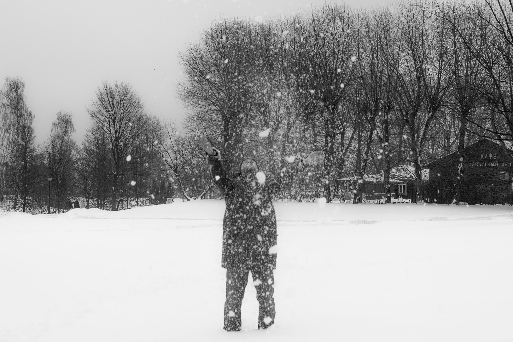 Sony Alpha DSLR-A500 + Sony 50mm F1.4 sample photo. Snow magic photography