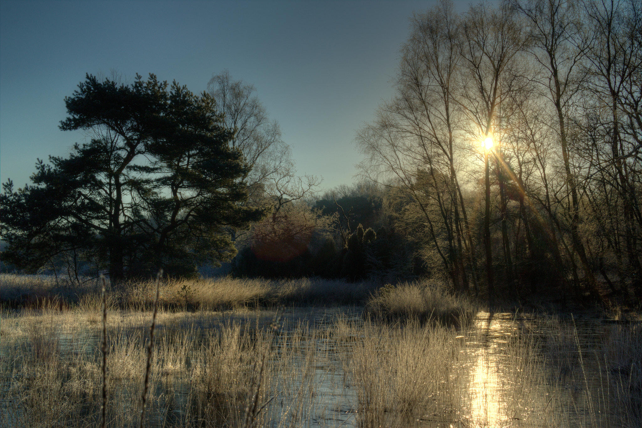 Canon EOS 550D (EOS Rebel T2i / EOS Kiss X4) + Sigma 30mm f/1.4 DC HSM sample photo. Buursezand, netherlands photography