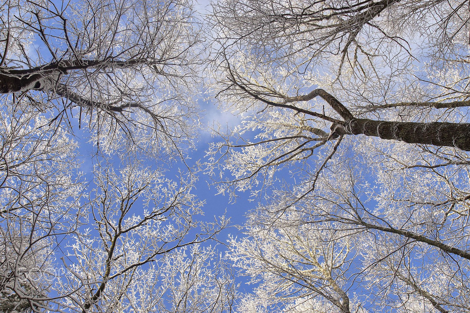 Sony a99 II + Minolta AF 28-70mm F2.8 G sample photo. Another view of winter photography