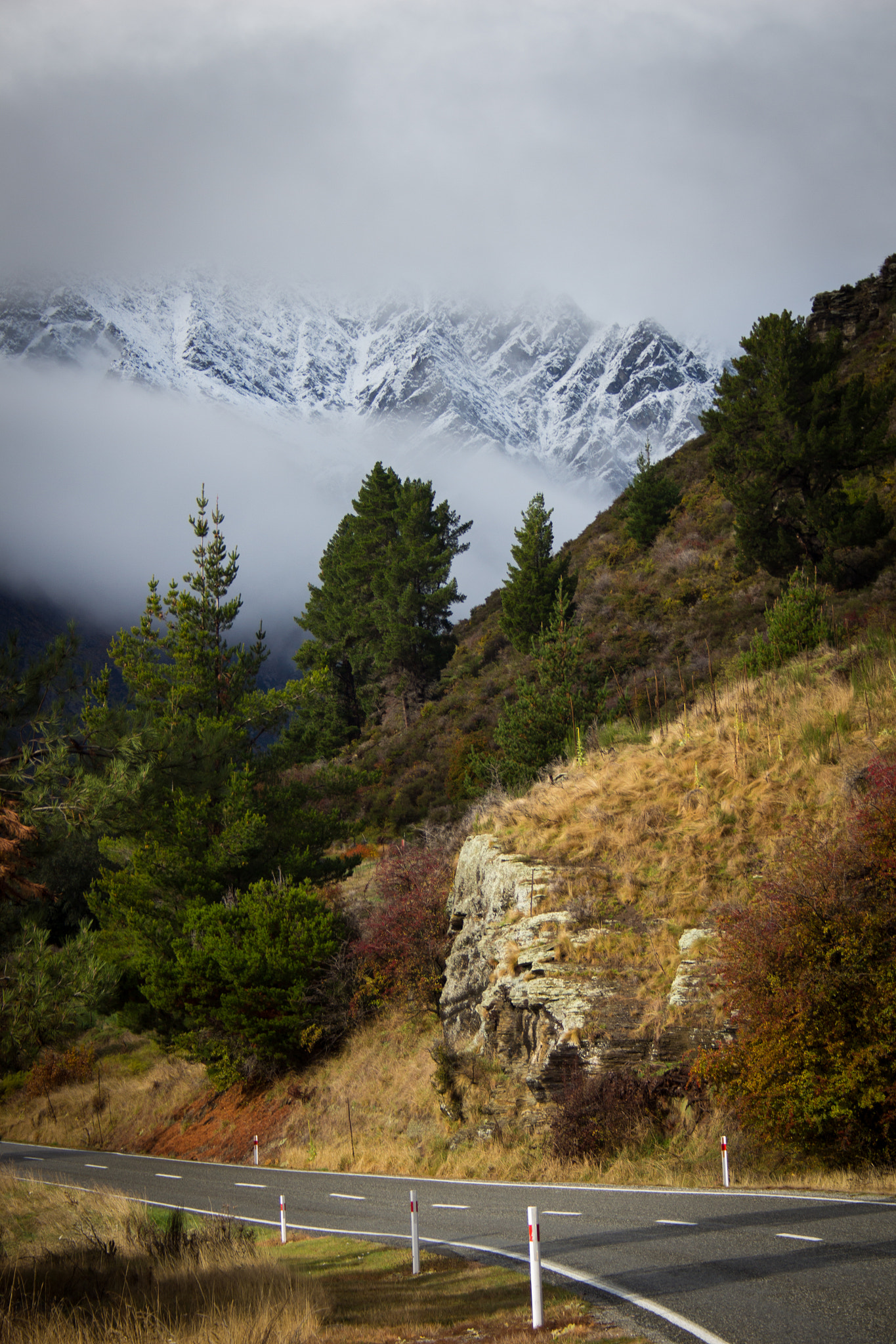 Canon EF-S 18-55mm F3.5-5.6 sample photo. Beautiful nature photography