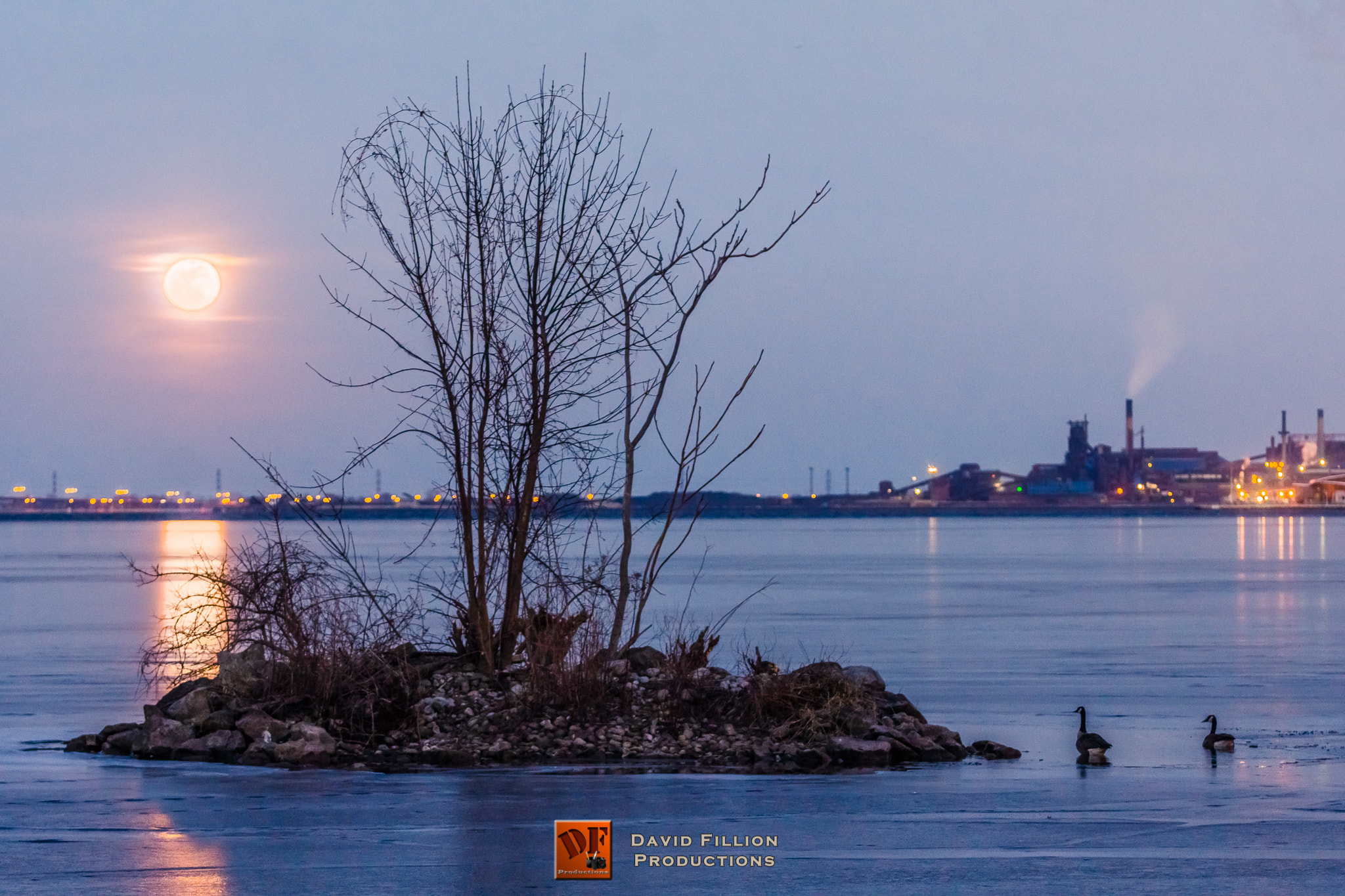 Sony SLT-A65 (SLT-A65V) + Tamron SP AF 70-200mm F2.8 Di LD (IF) MACRO sample photo. Canadian geese watching the full moon rise photography