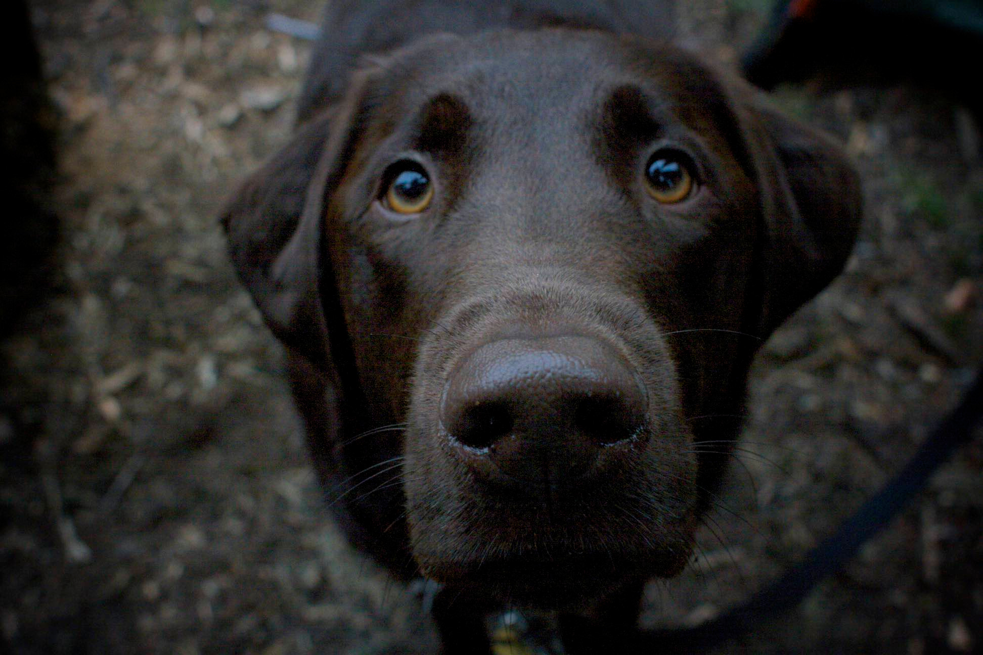 Canon EF 28mm F1.8 USM sample photo. Theo photography
