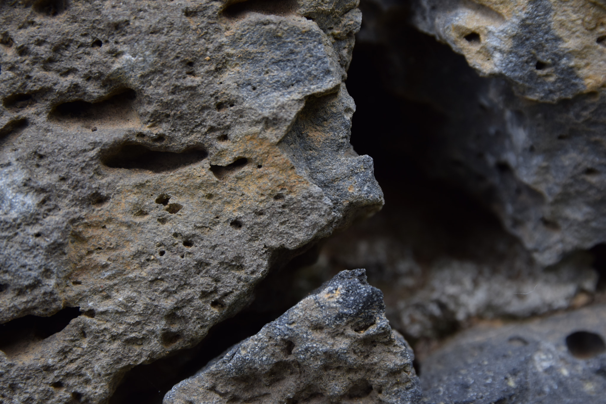 Sigma 17-70mm F2.8-4 DC Macro OS HSM | C sample photo. On the rocks photography