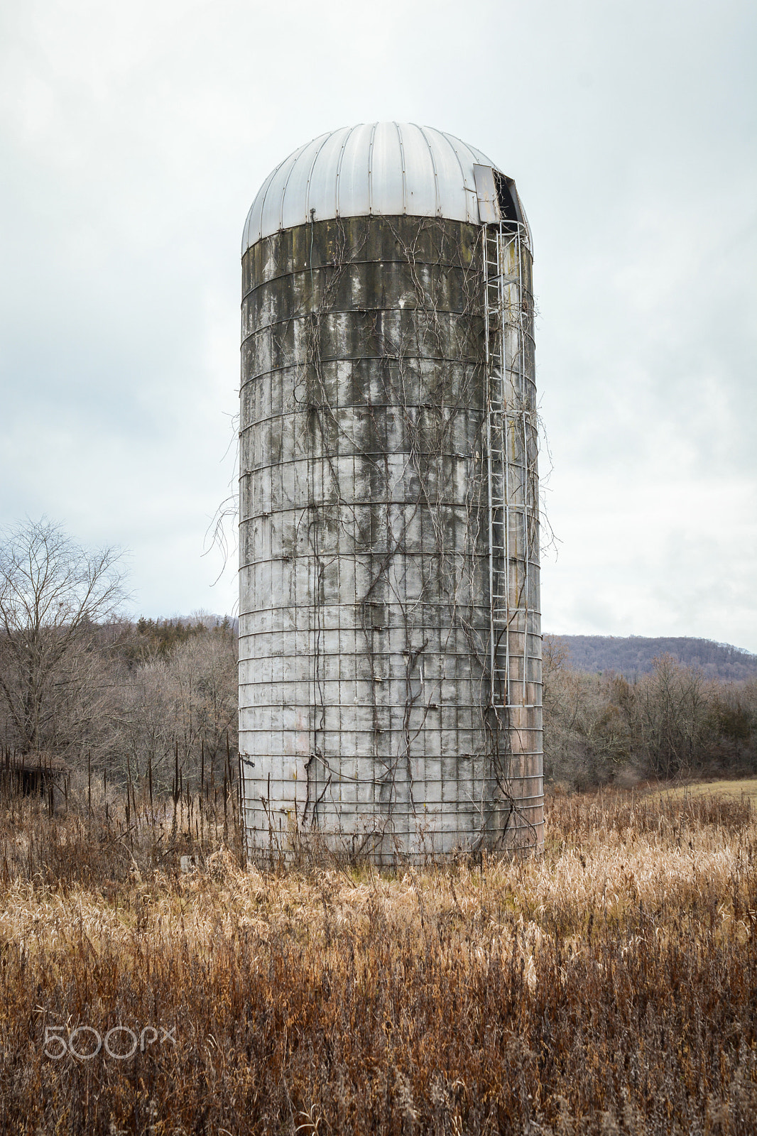 AF Zoom-Nikkor 28-85mm f/3.5-4.5 sample photo. Silo photography