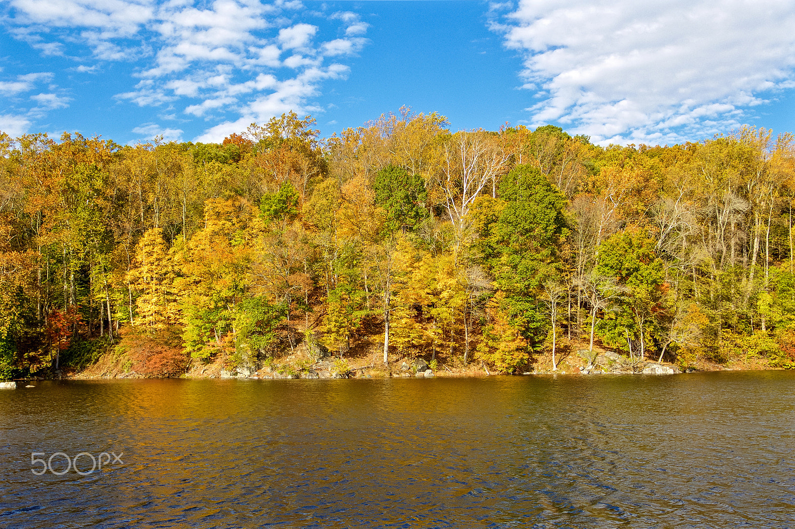 Sigma 10-20mm F3.5 EX DC HSM sample photo. Great falls, va photography