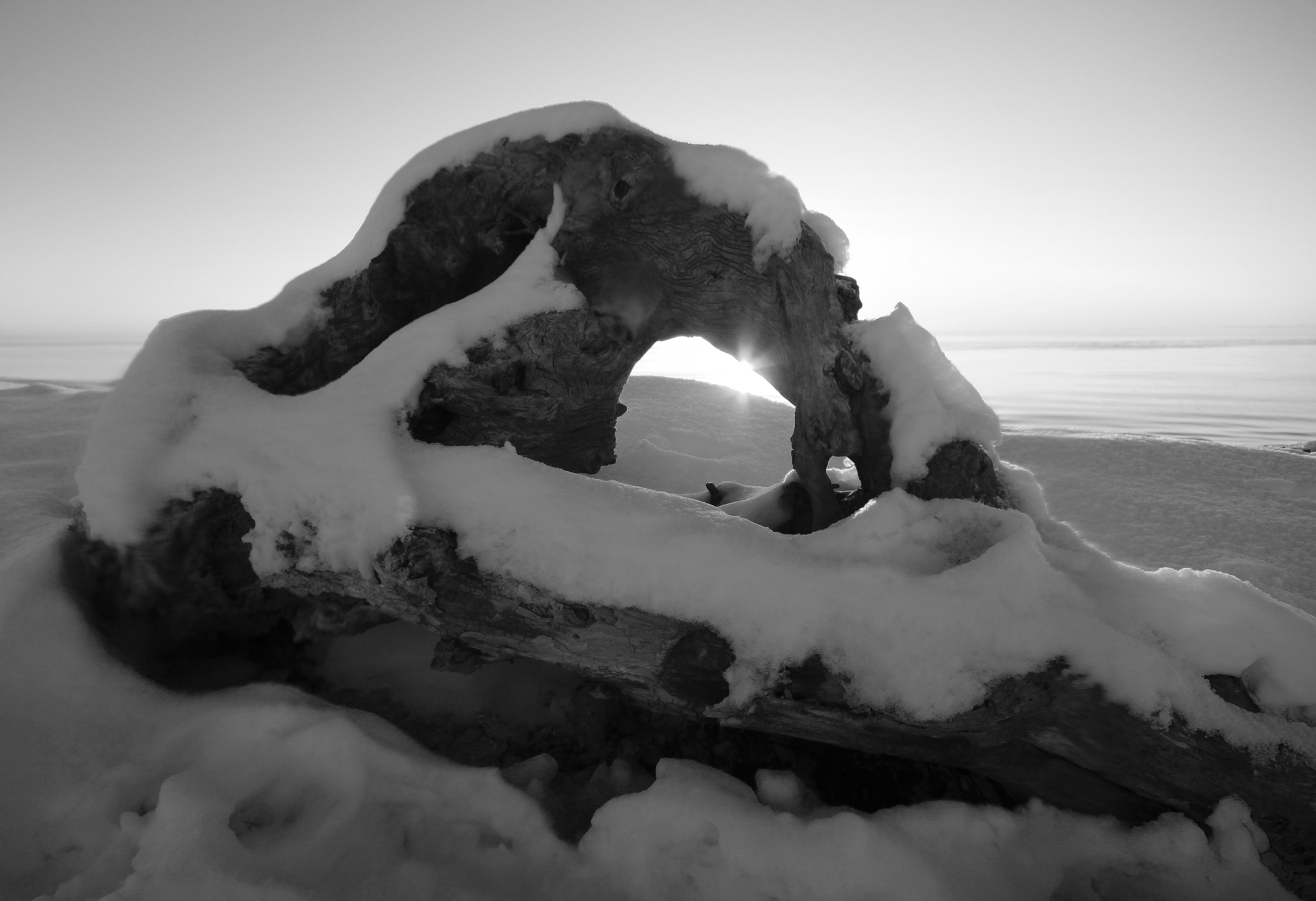 Sigma 10-20mm F4-5.6 EX DC HSM sample photo. Snowy driftwood photography