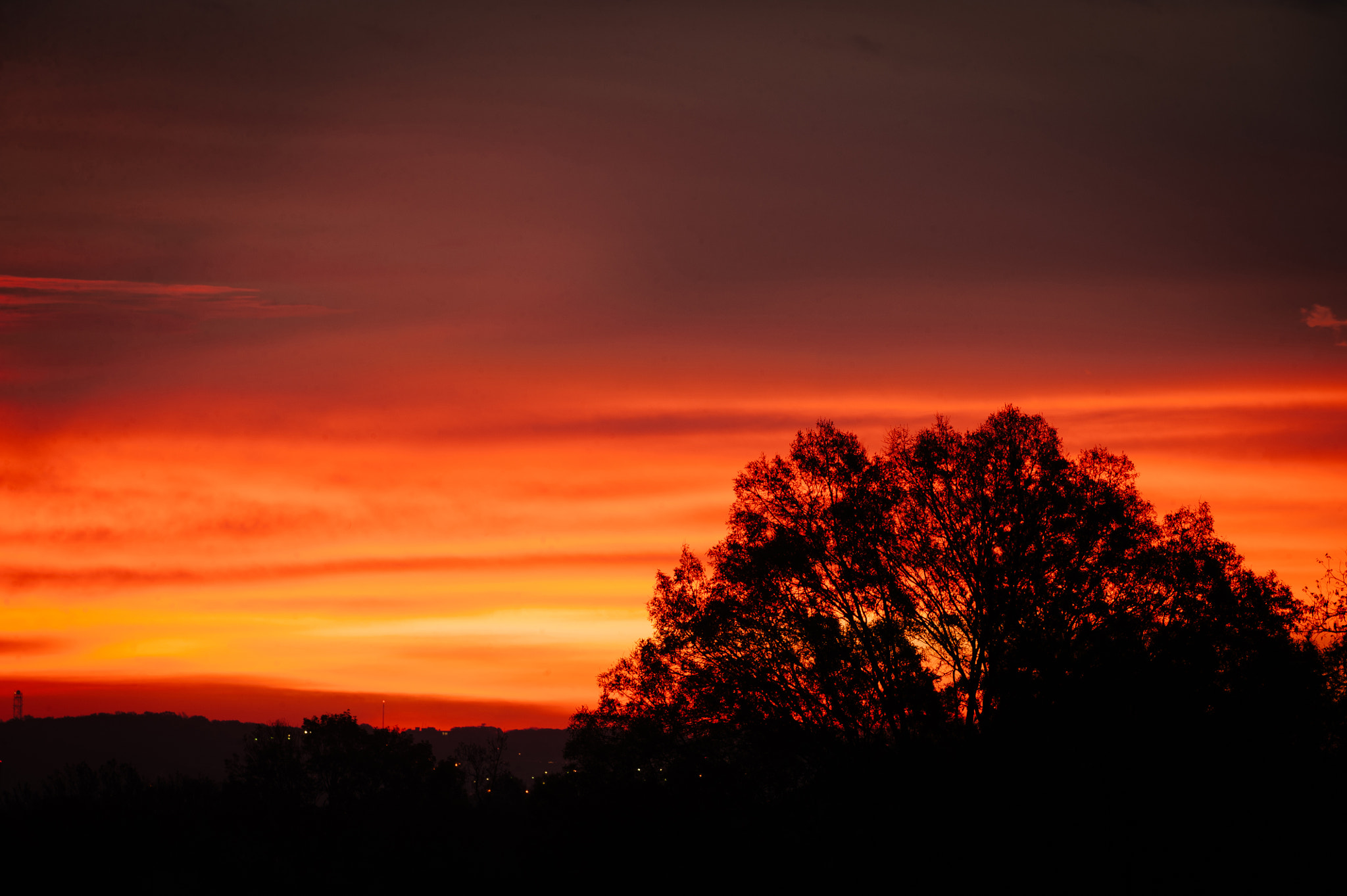 Sigma 50-500mm F4.5-6.3 DG OS HSM sample photo. Tree silhouetted against pastel morning sky photography