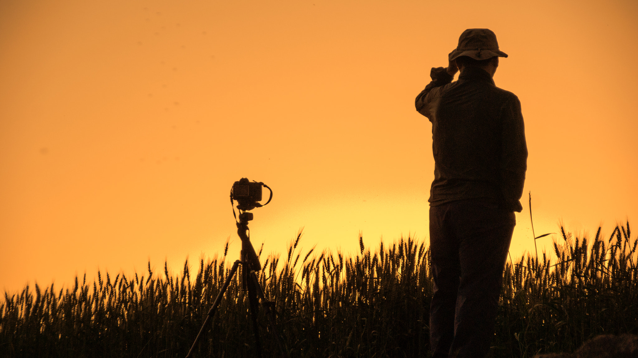 Sony Alpha DSLR-A300 sample photo. Waiting for the sunset photography