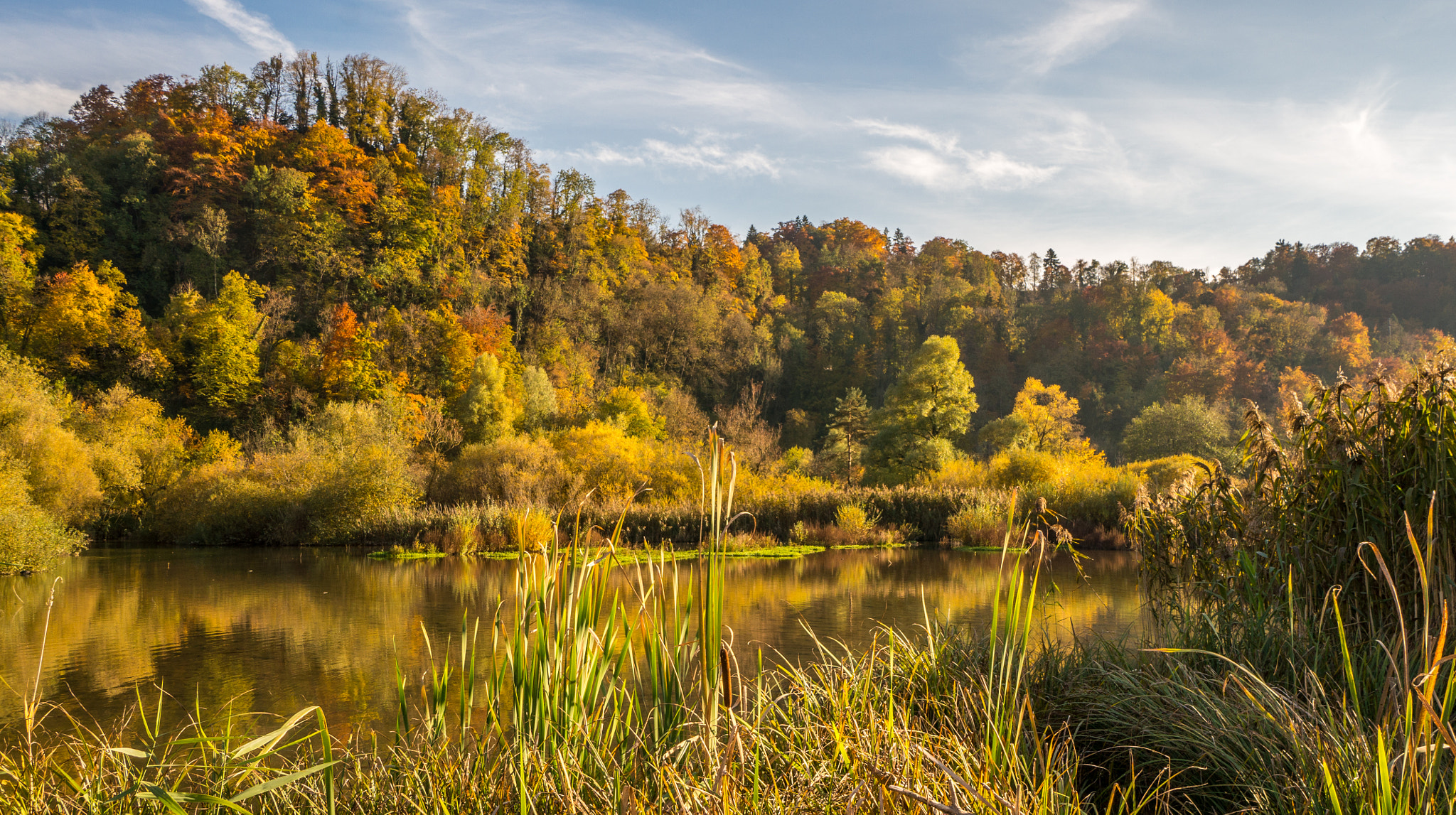 Sony Alpha NEX-6 + Sony E 10-18mm F4 OSS sample photo. Autumn at the lake photography