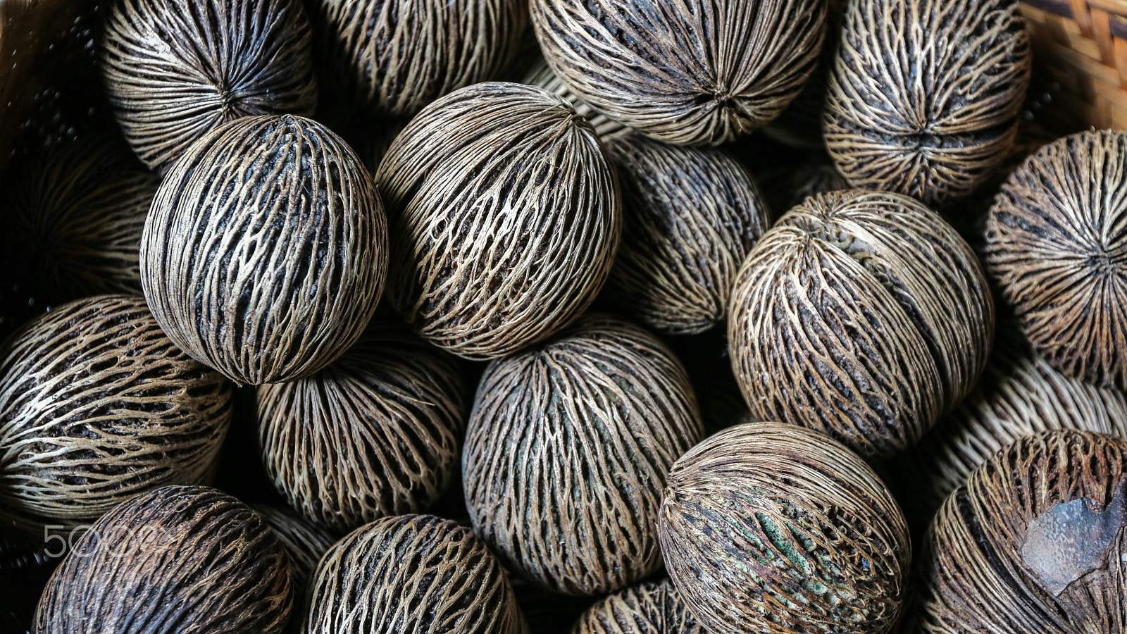 Canon EOS M3 sample photo. Pong pong seed photography