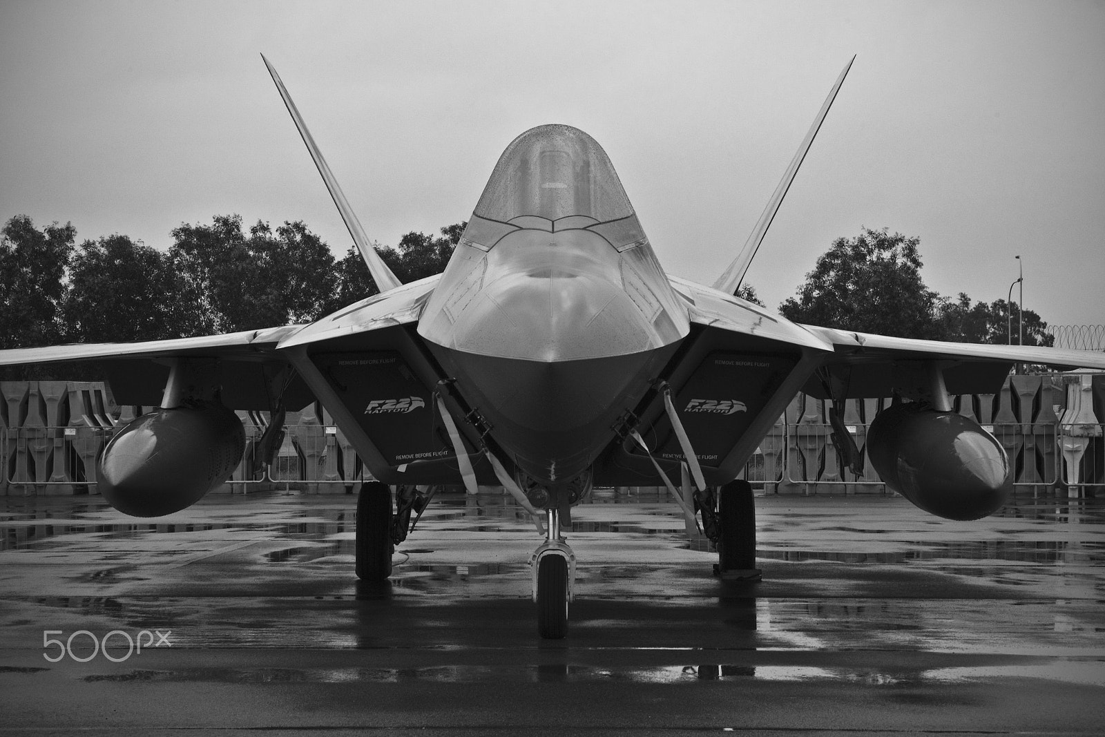 Canon EOS-1D Mark IV sample photo. Raptor in the rain photography
