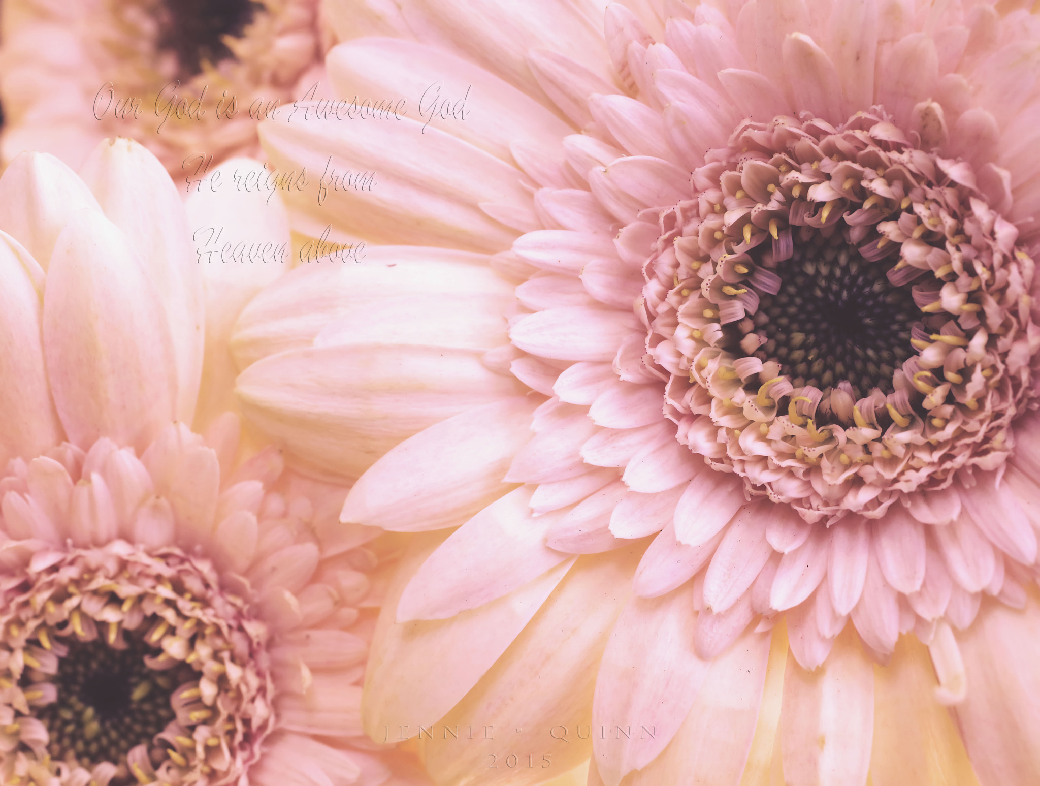 Canon EF 50mm F2.5 Macro sample photo. Funeral photography