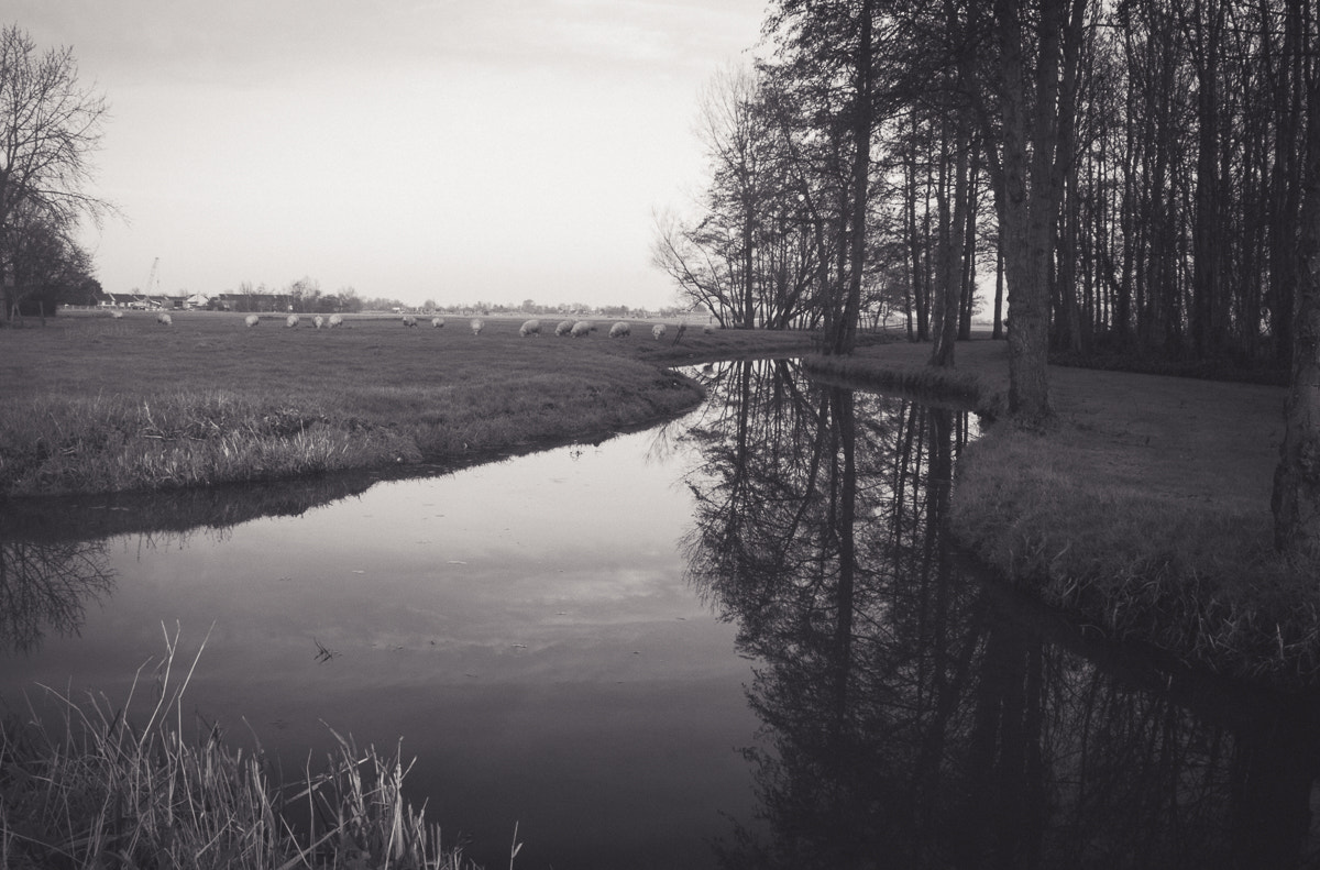 Canon EOS 50D + Canon EF-S 18-55mm F3.5-5.6 sample photo. Polder lands photography