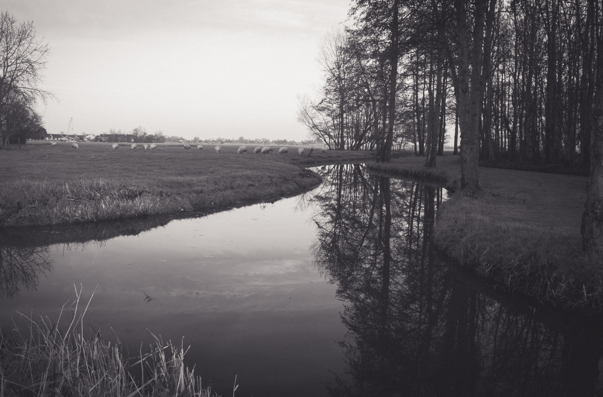 Canon EF-S 18-55mm F3.5-5.6 sample photo. Polder lands photography