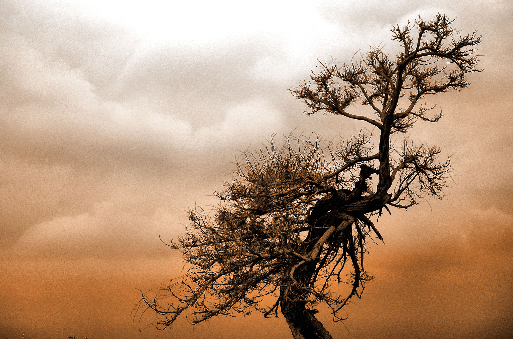 MEDION MD85863 sample photo. Jordanie nature photography