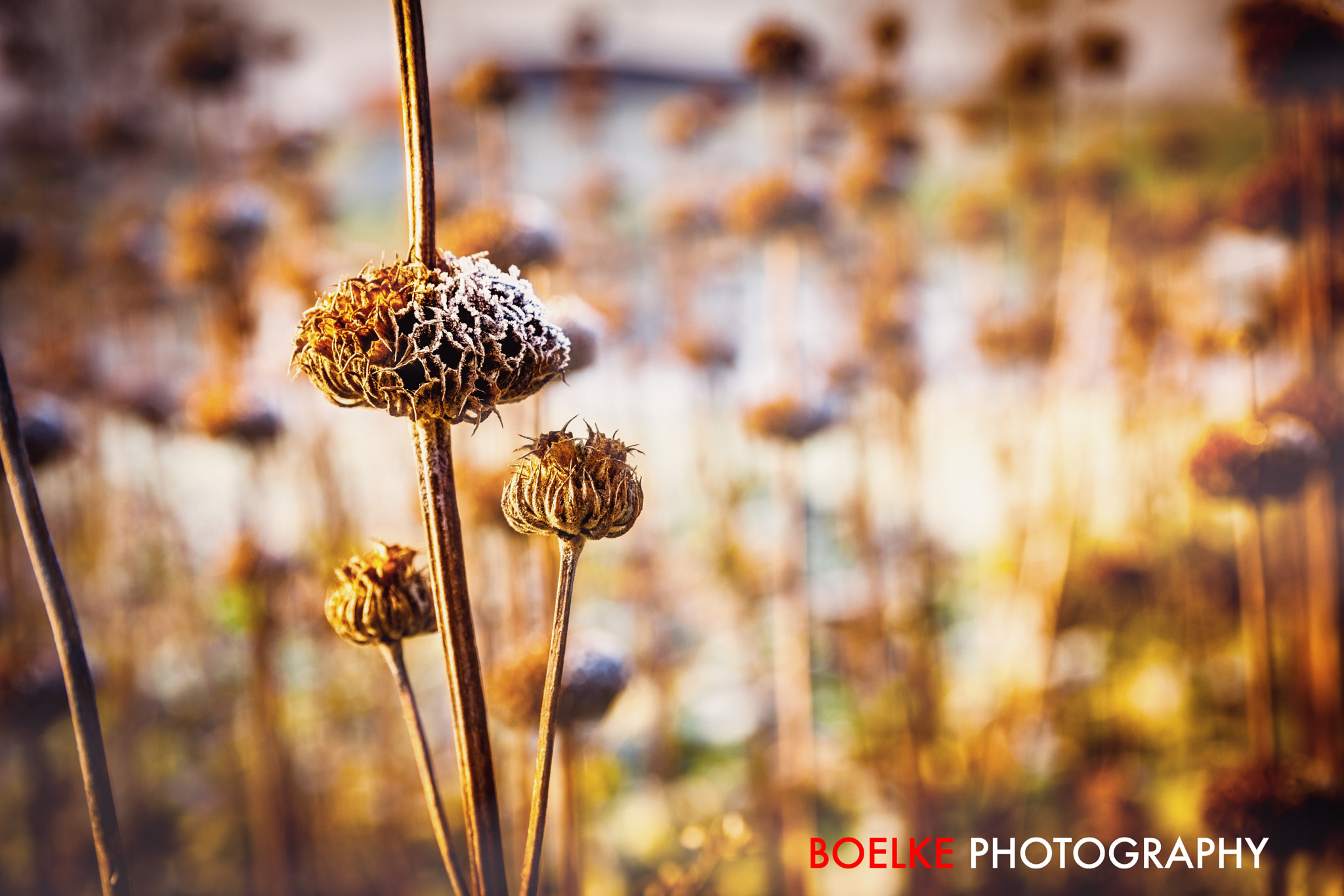 Sigma 24-105mm f/4 DG OS HSM | A sample photo. Ice side photography